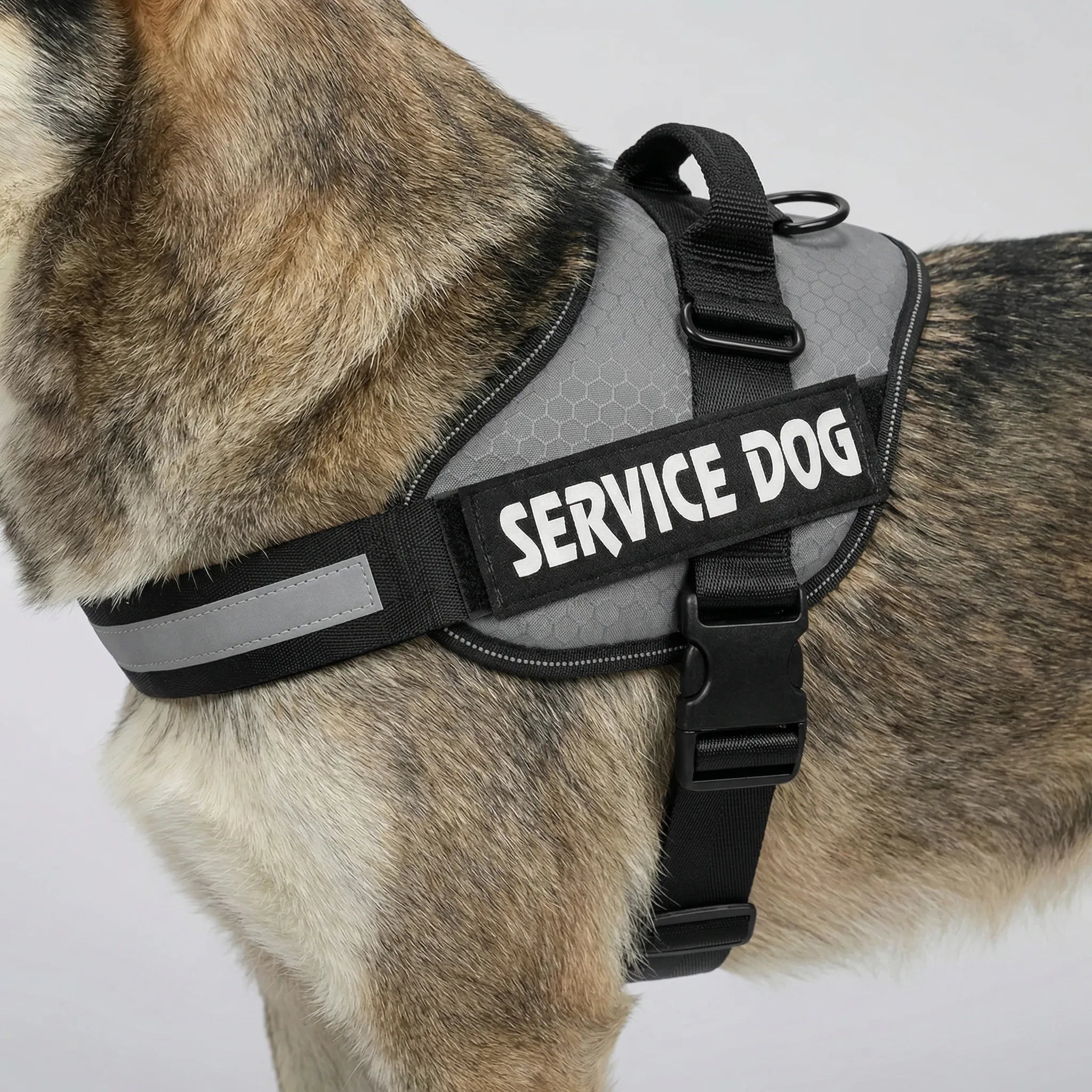 Hundegeschirr Brustgeschirr reflektierend verstellbar für große Hunde