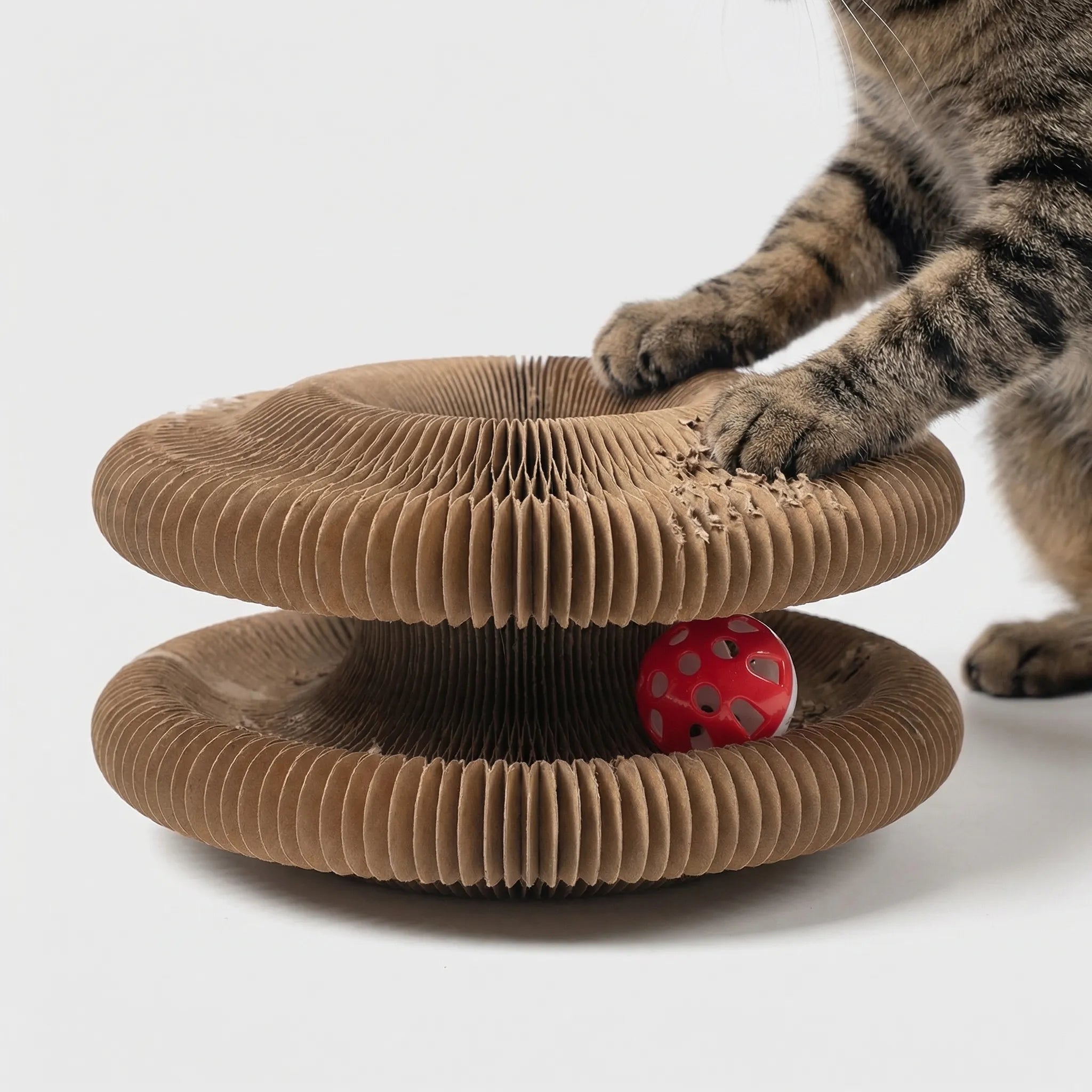 Faltbares Katzenkratzbrett aus Wellkarton mit interaktiver Ballbahn