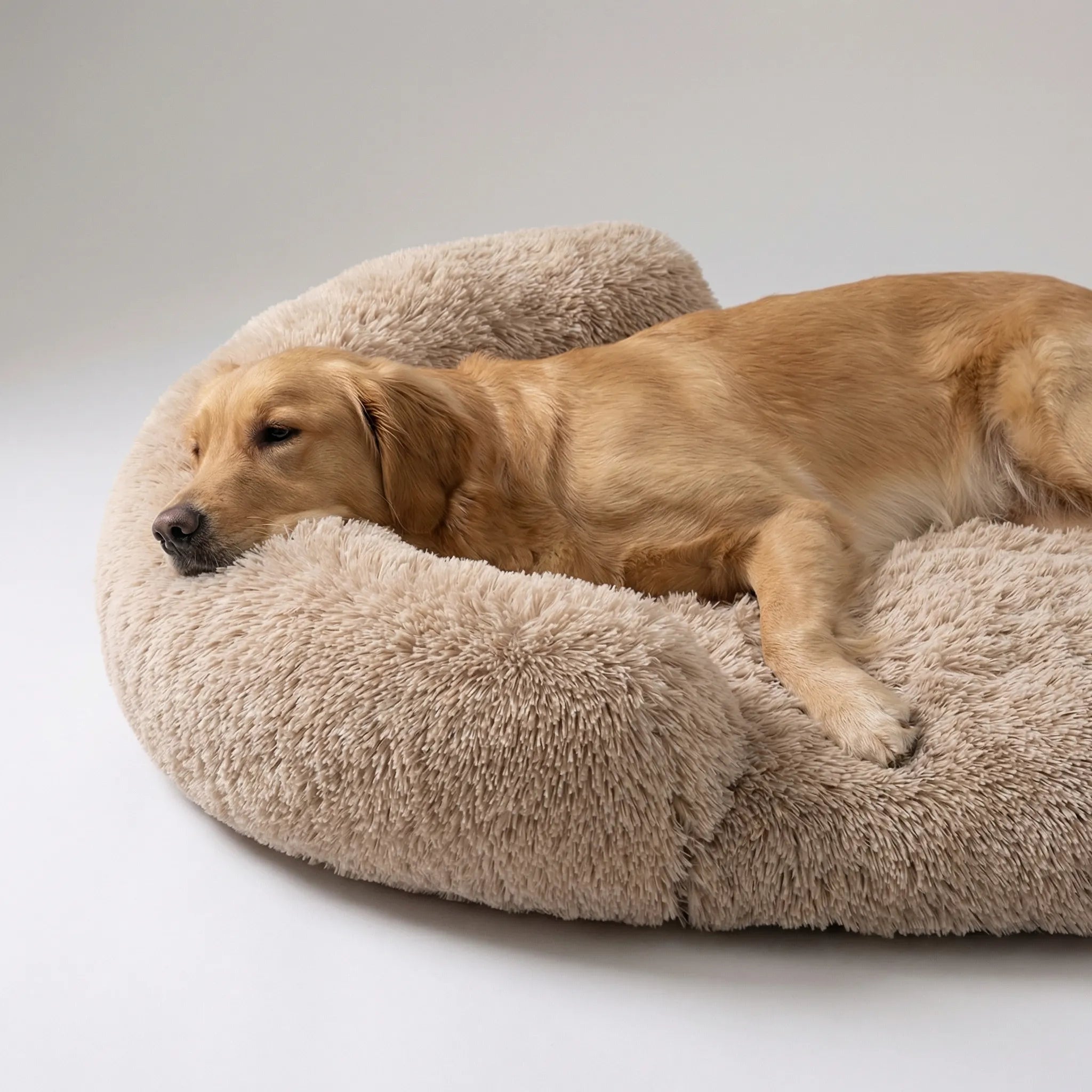 Orthopädisches Hundebett Eierkartonschaum plüschig waschbar für alle Rassen