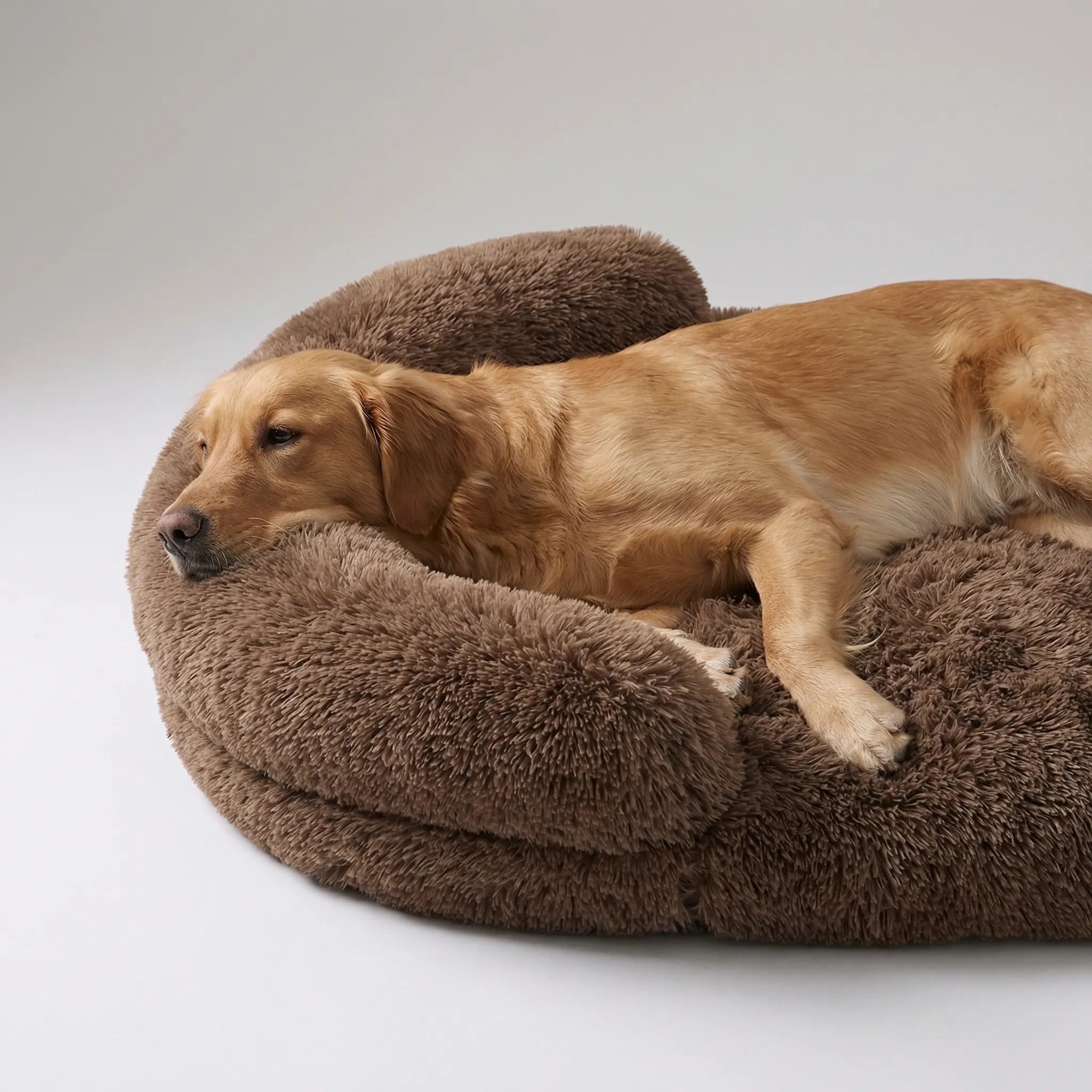 Orthopädisches Hundebett Eierkartonschaum plüschig waschbar für alle Rassen