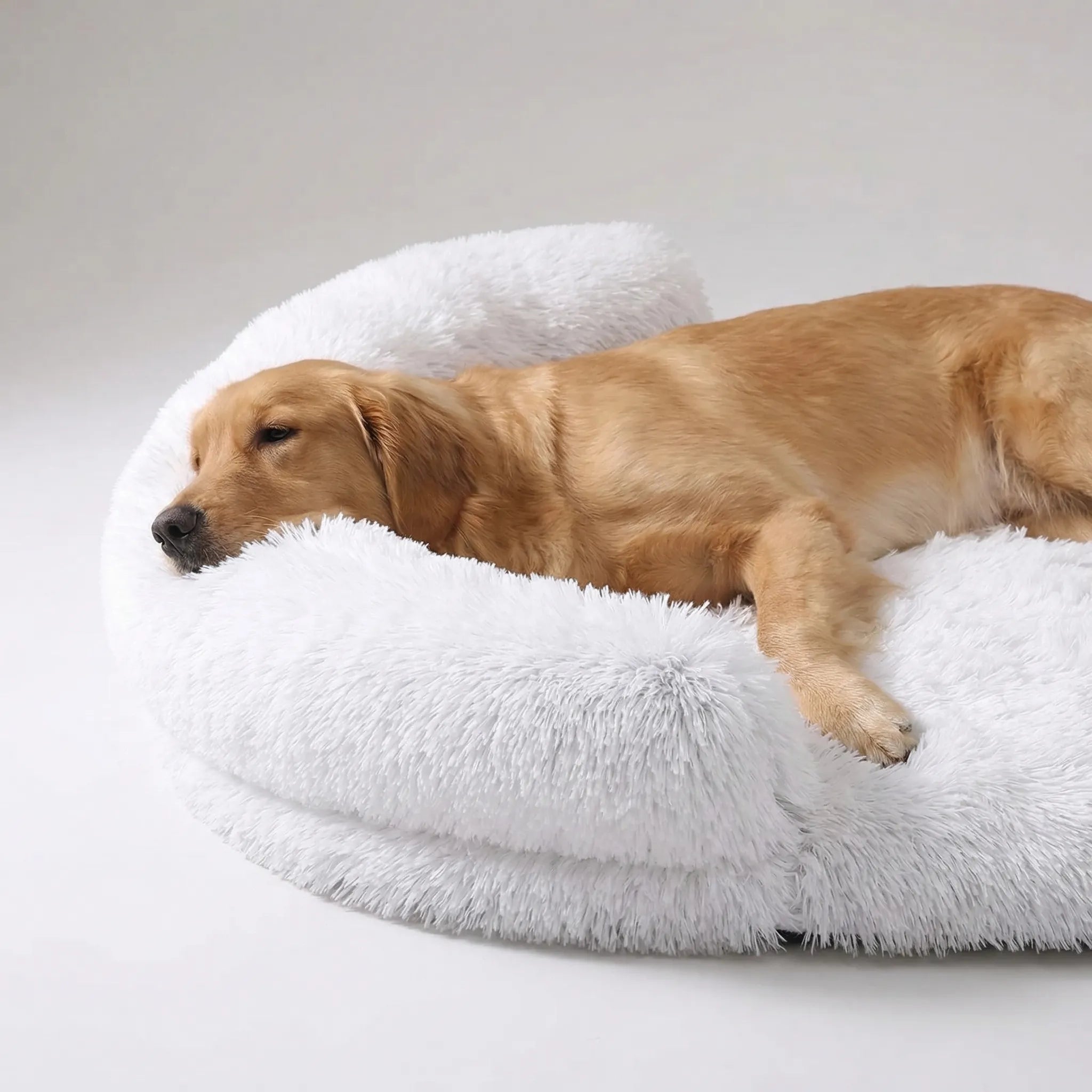 Orthopädisches Hundebett Eierkartonschaum plüschig waschbar für alle Rassen