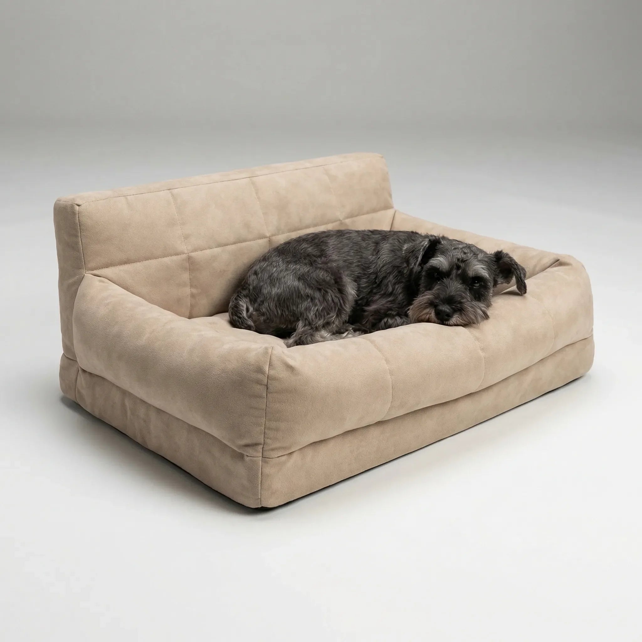 Umwandelbares Haustierbett Sofa für Hunde und Katzen, weich gepolstert, 3-in-1 Funktion