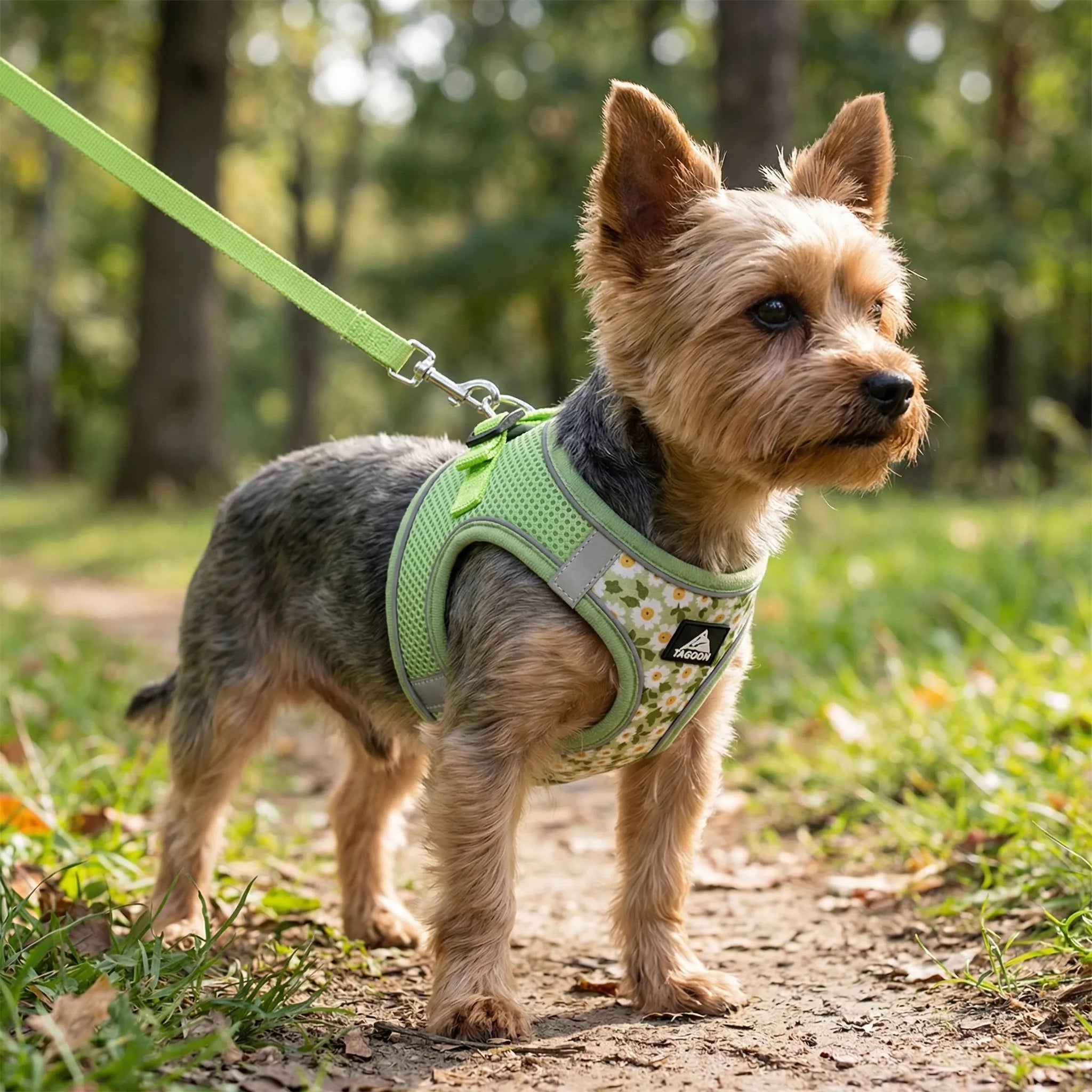 Anti-Zug-Haustiergeschirr für kleine Hunde und Katzen mit atmungsaktivem Mesh