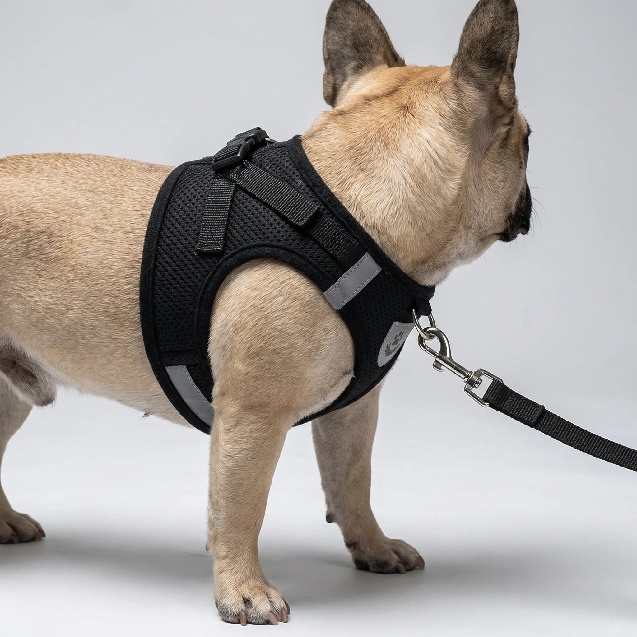 Reflektierendes Westengeschirr für kleine Hunde und Katzen, atmungsaktiv