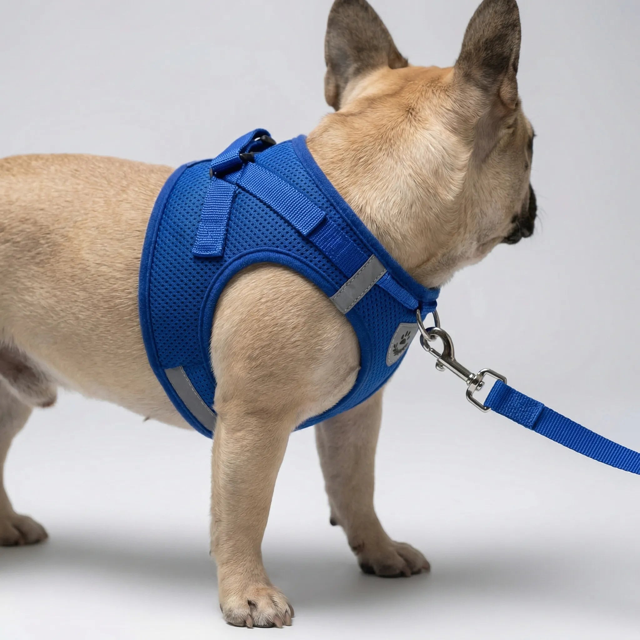 Reflektierendes Westengeschirr für kleine Hunde und Katzen, atmungsaktiv