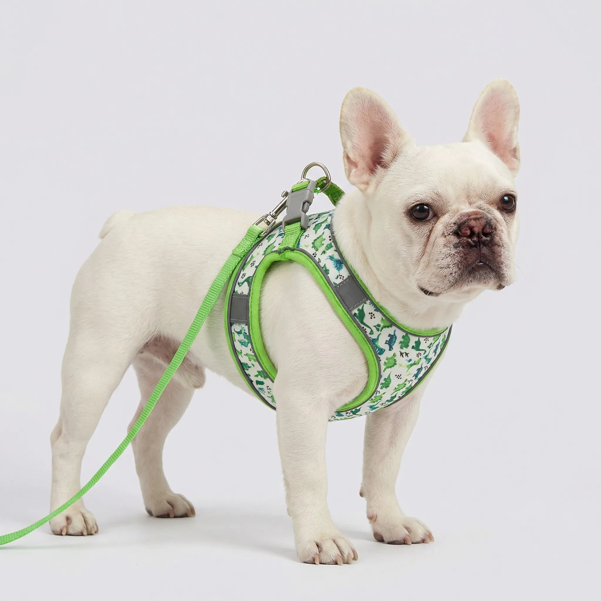 Hundegeschirr Westen-Stil mit Leine für kleine Hunde, atmungsaktiv