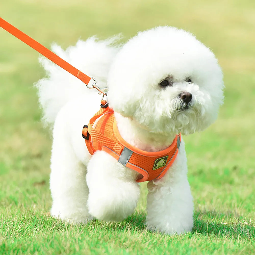 Hundegeschirr Weste reflektierend atmungsaktiv für kleine Hunde