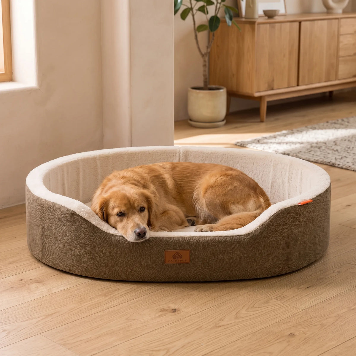 Orthopädisches Hundebett Oval Im Couch-Stil