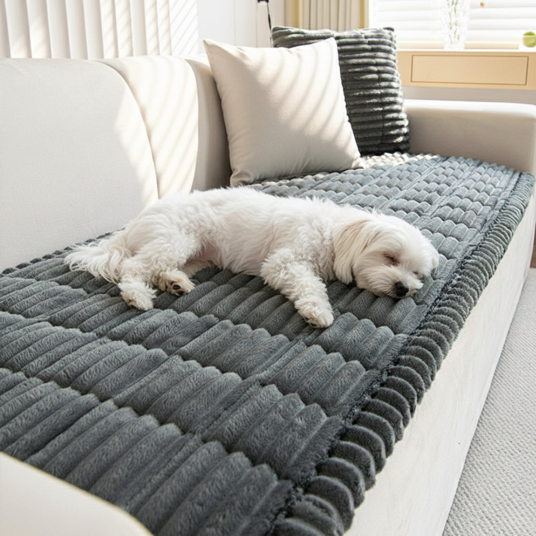 Sofabezug – Halte Dein Sofa Sauber, Weich & Geschützt