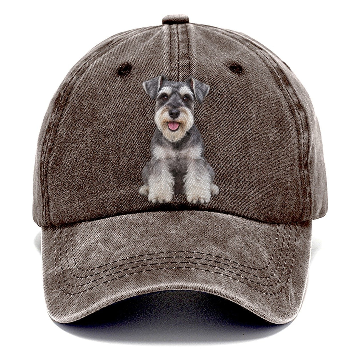 Zwergschnauzer Sitzend Top Rassen Classic Cap