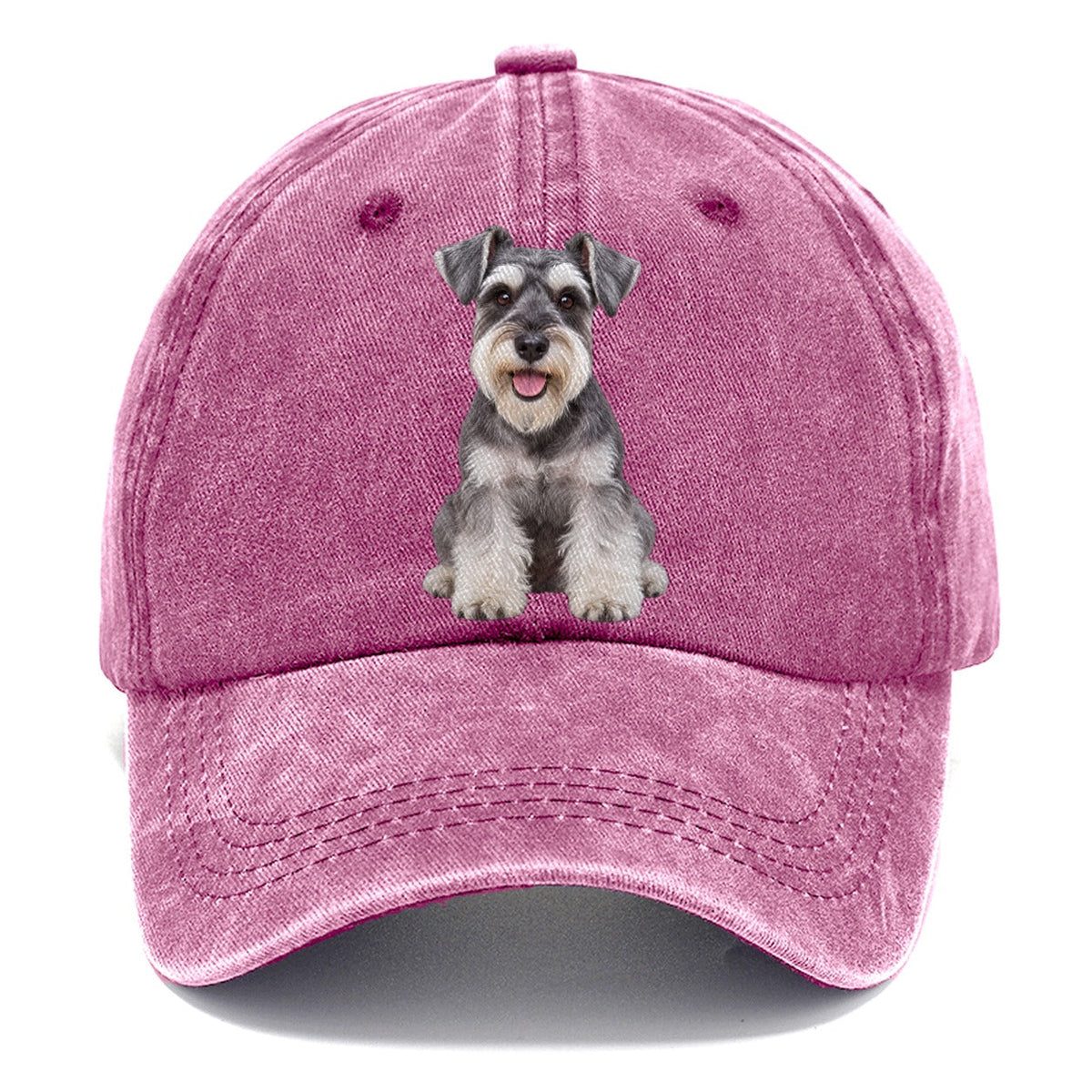 Zwergschnauzer Sitzend Top Rassen Classic Cap