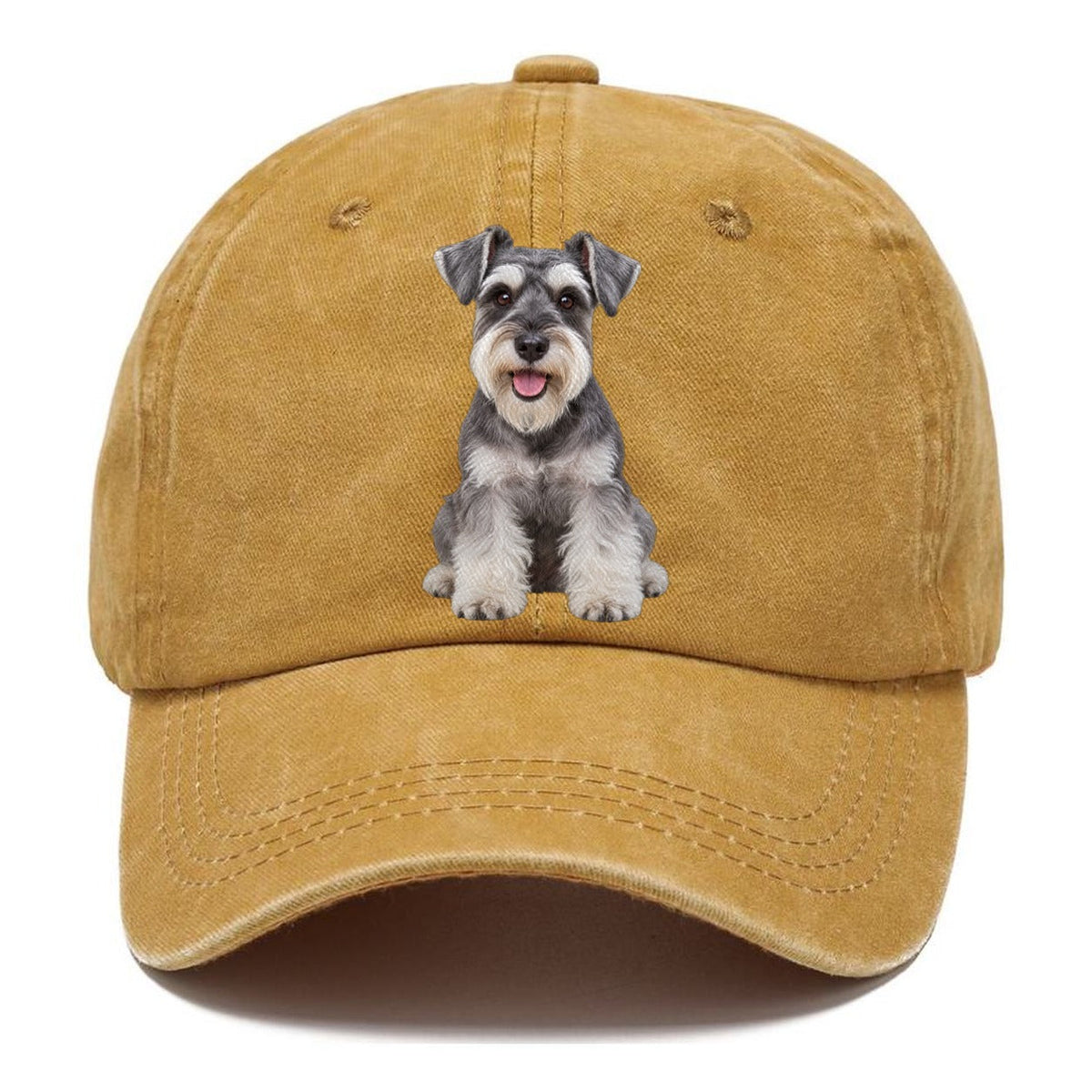 Zwergschnauzer Sitzend Top Rassen Classic Cap