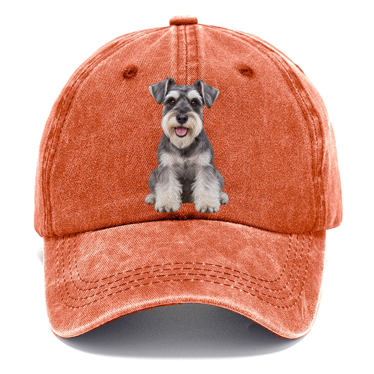 Zwergschnauzer Sitzend Top Rassen Classic Cap