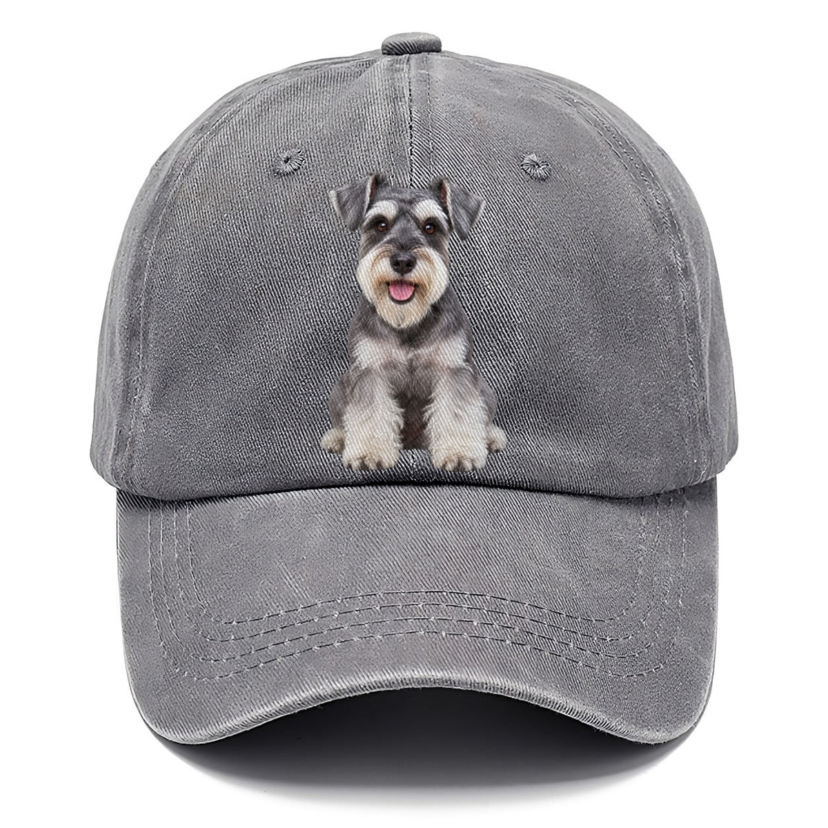 Zwergschnauzer Sitzend Top Rassen Classic Cap
