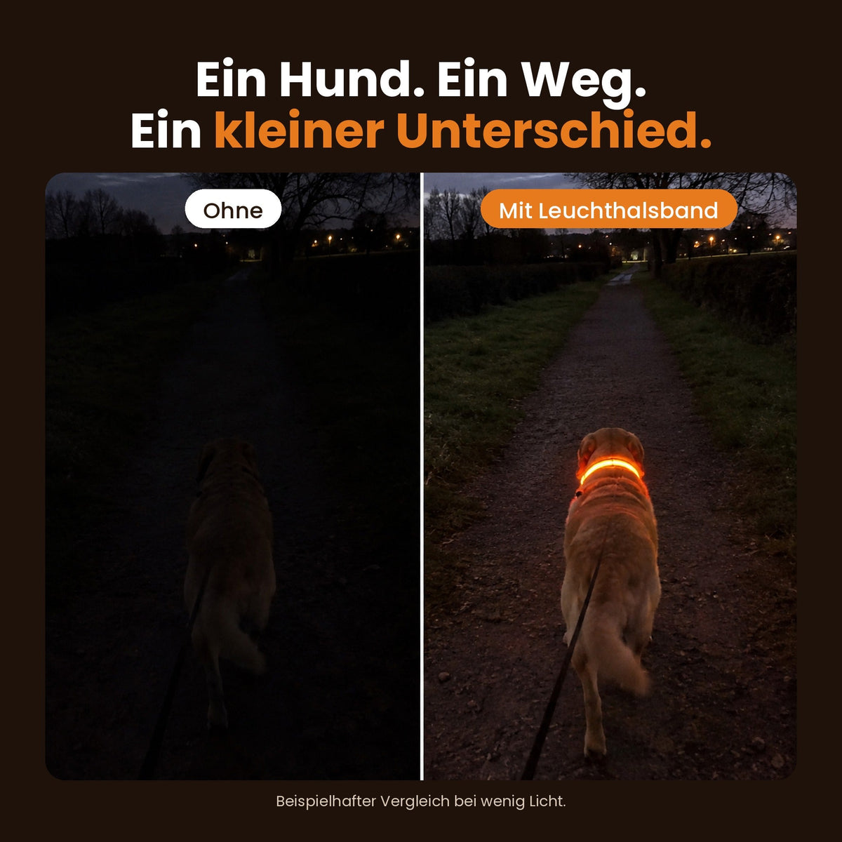 Leuchthalsband