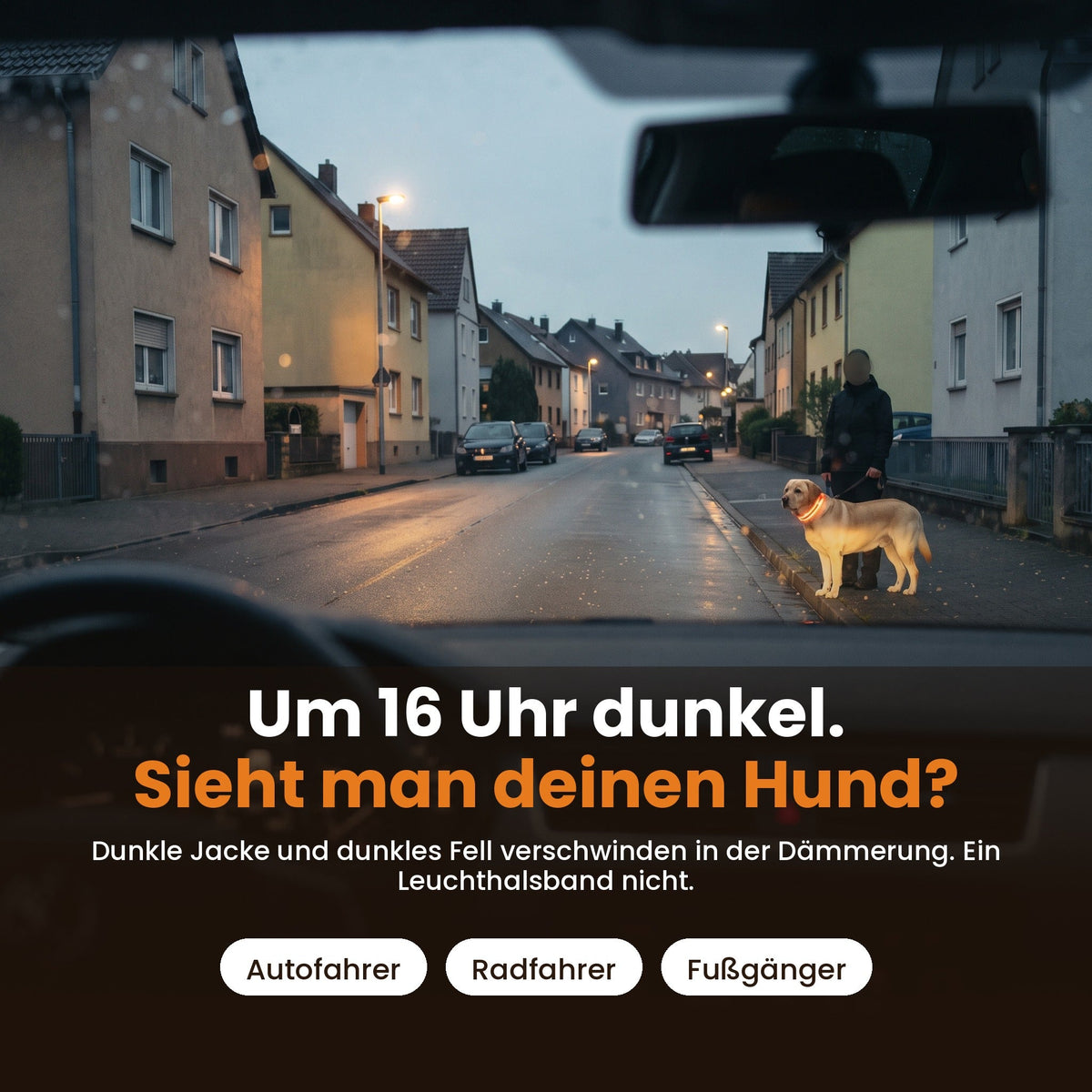 Leuchthalsband