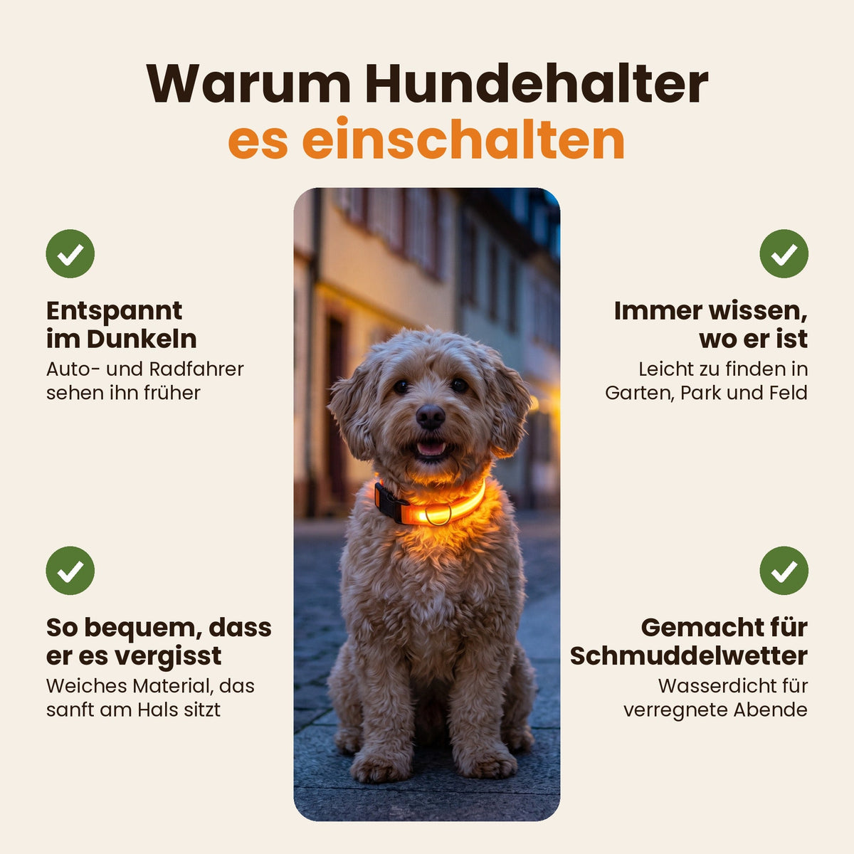 Leuchthalsband