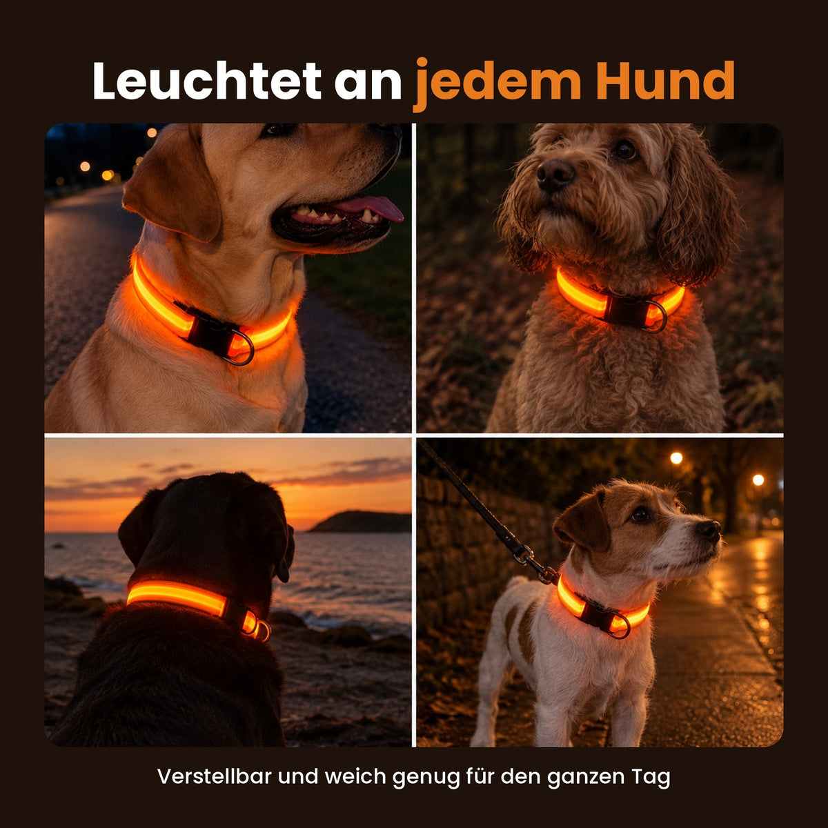 Leuchthalsband