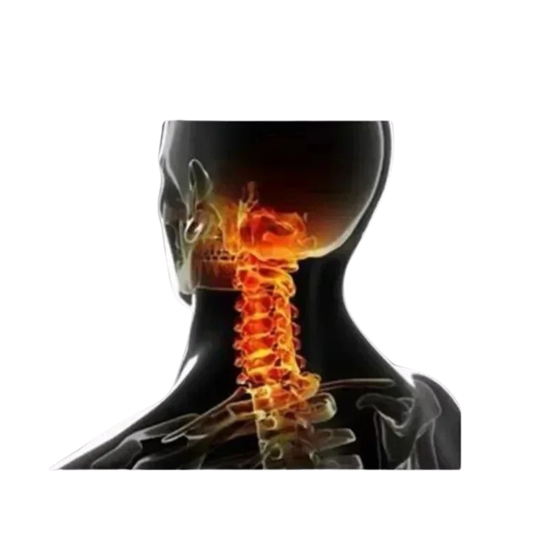 Nordspur | CerviCloud Orthopädisches Nackenkontur-Kissen