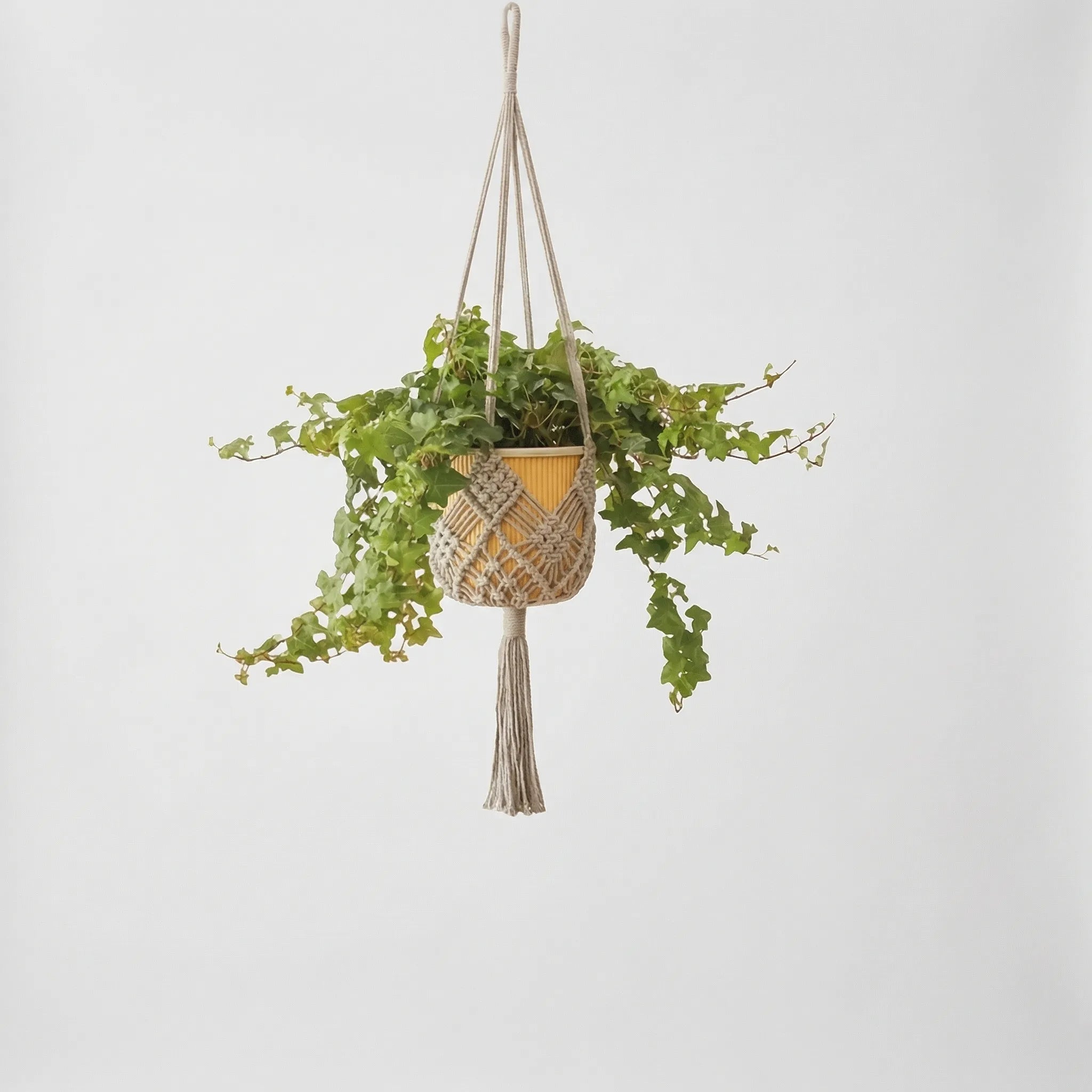 Boho Makramee Pflanzenhänger mit geometrischem Knotenmuster und Quaste