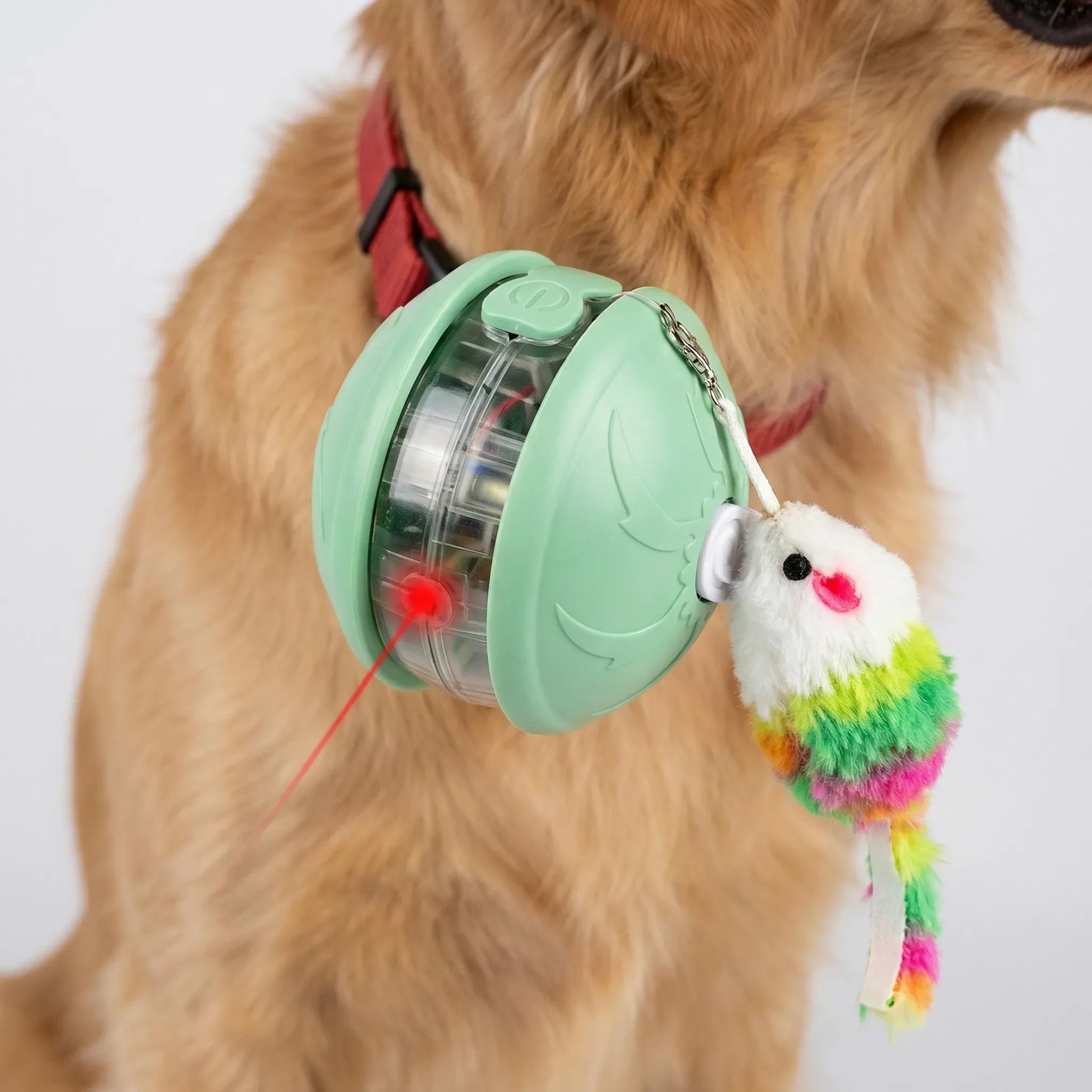 Automatischer Hüpfball für Hunde und Katzen interaktives Spielzeug
