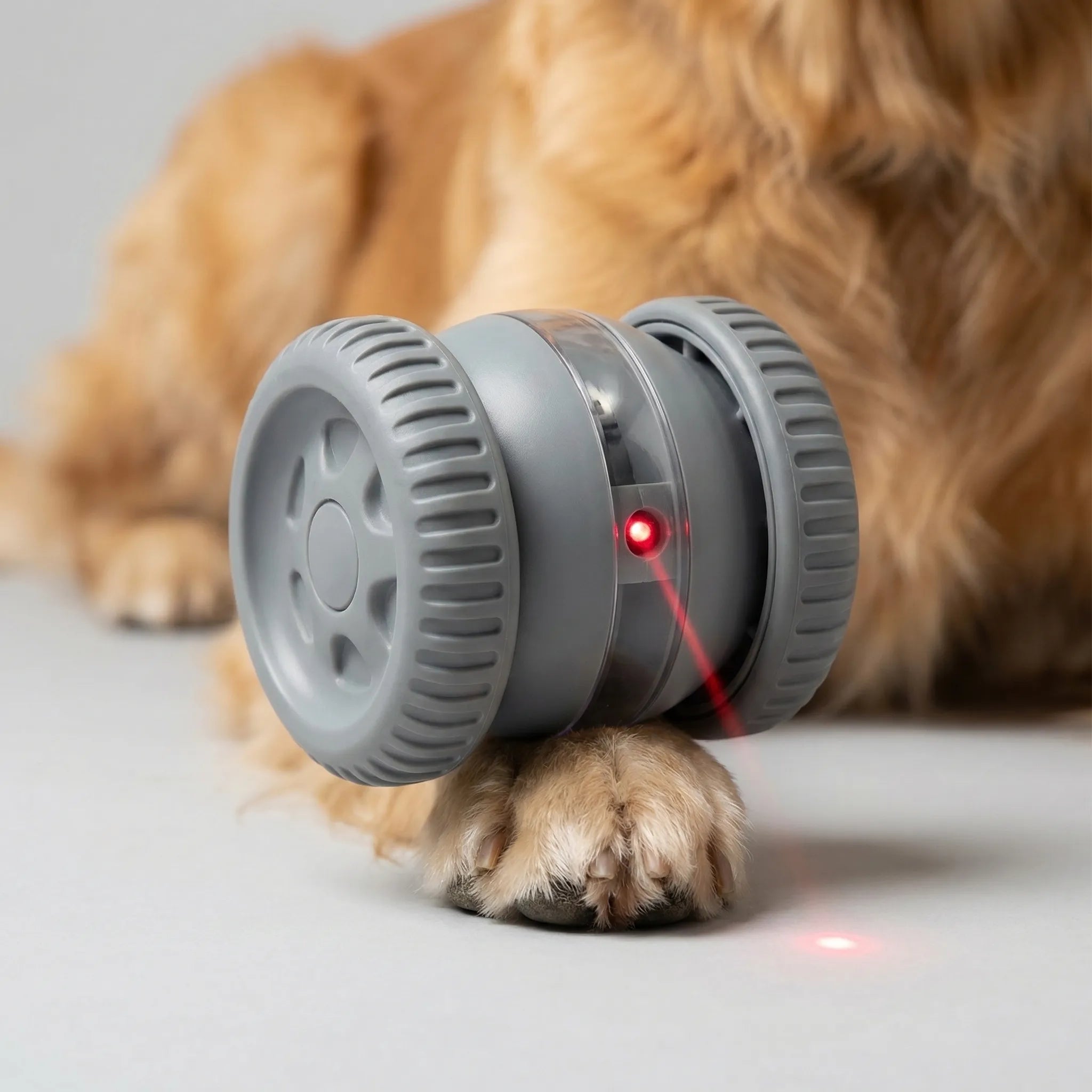 Automatischer Hüpfball für Hunde und Katzen interaktives Spielzeug