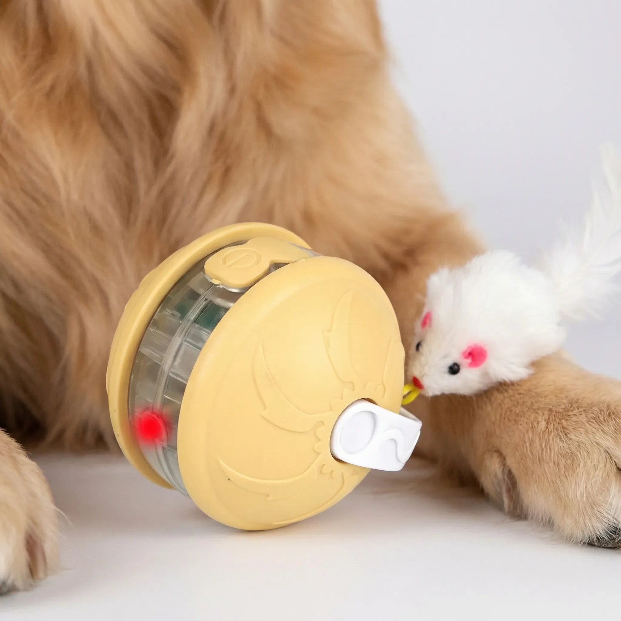 Automatischer Hüpfball für Hunde und Katzen interaktives Spielzeug