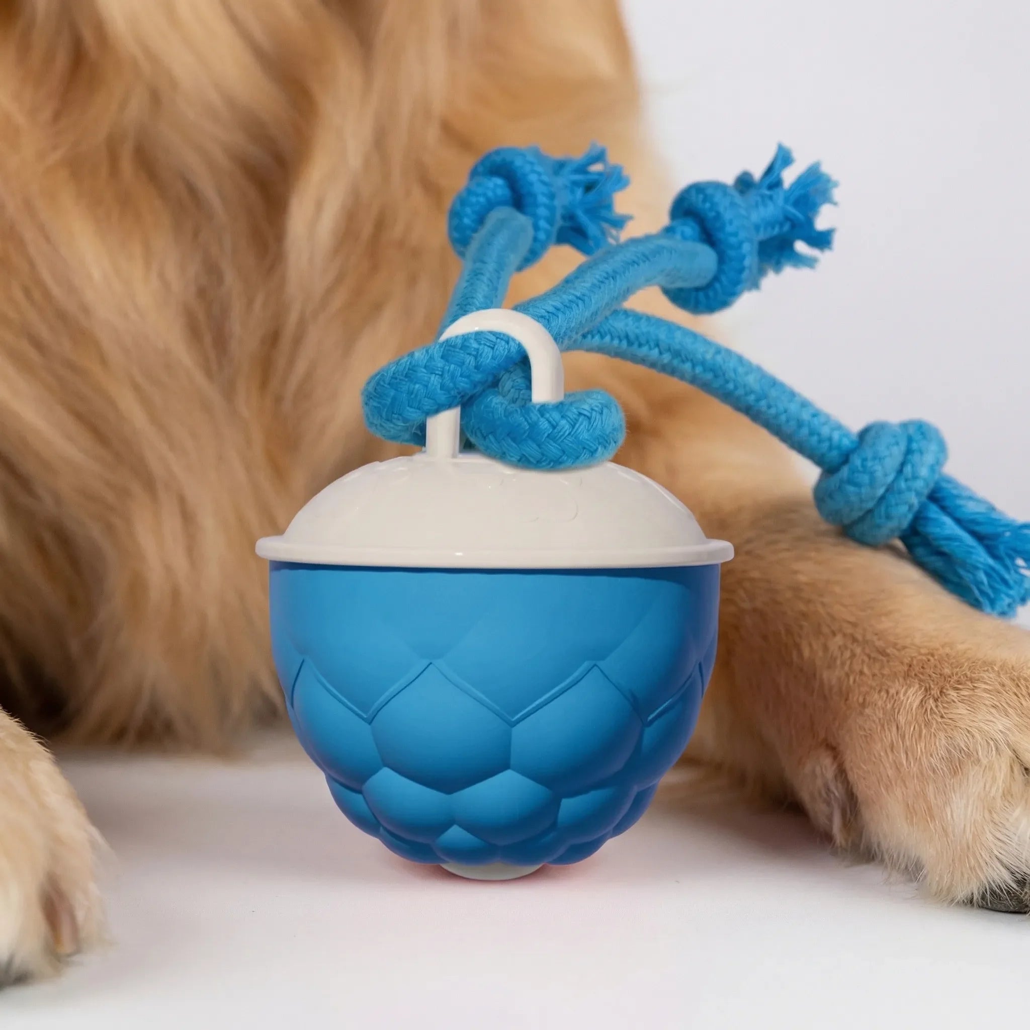 Automatischer Hüpfball für Hunde und Katzen interaktives Spielzeug