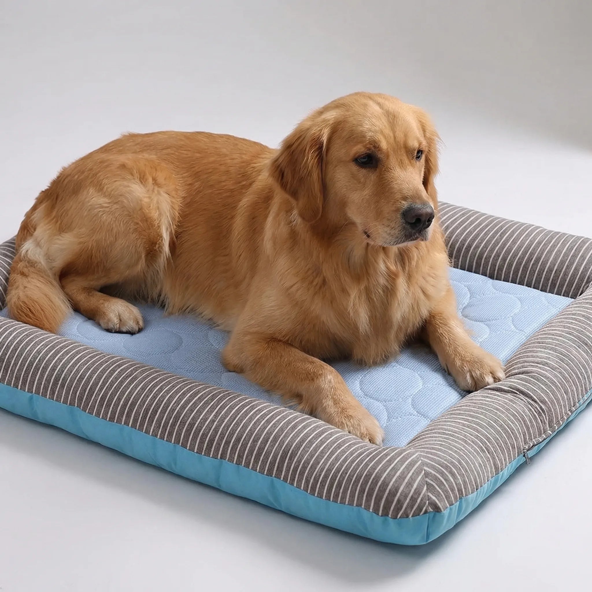 Kühlmatte für Hunde und Katzen atmungsaktiv Sommer gepolstert