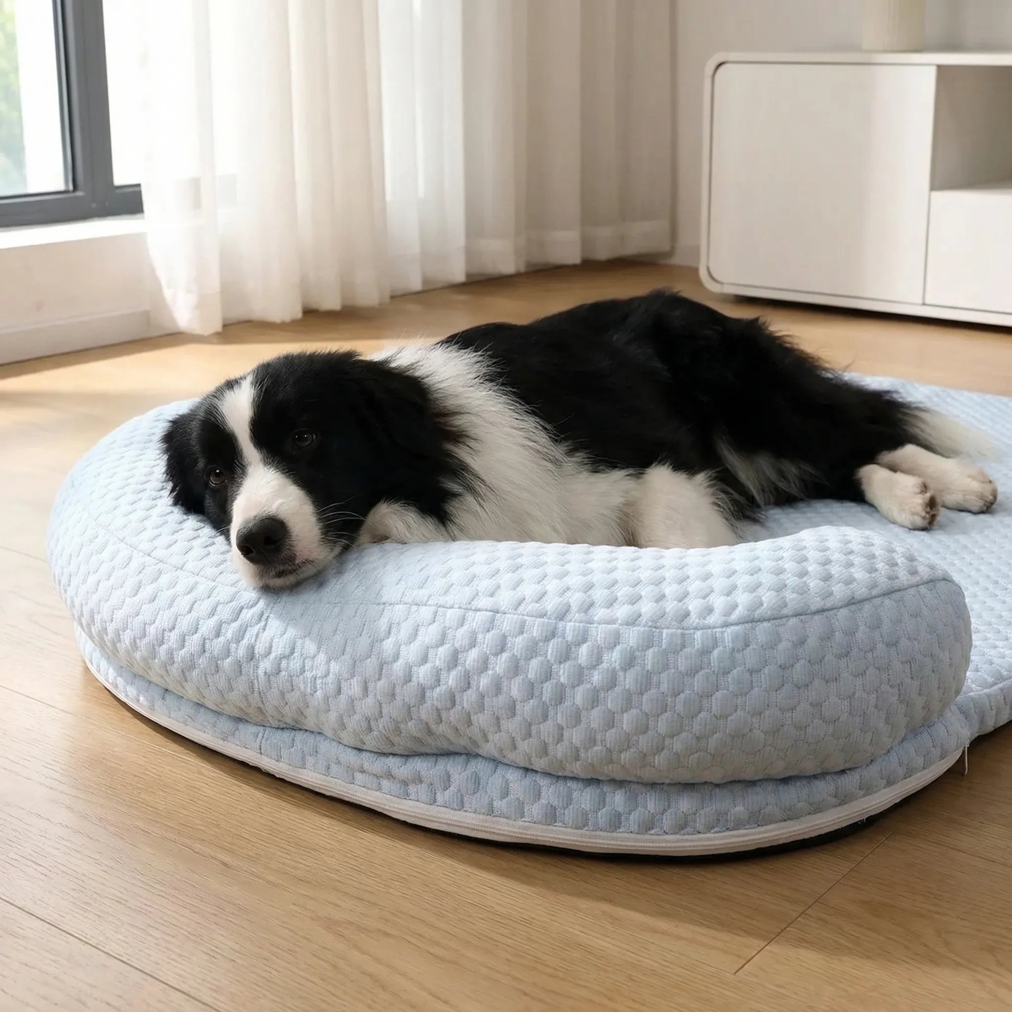 Kühlendes Haustierbett mit Schaumstoffpolsterung für Hunde und Katzen