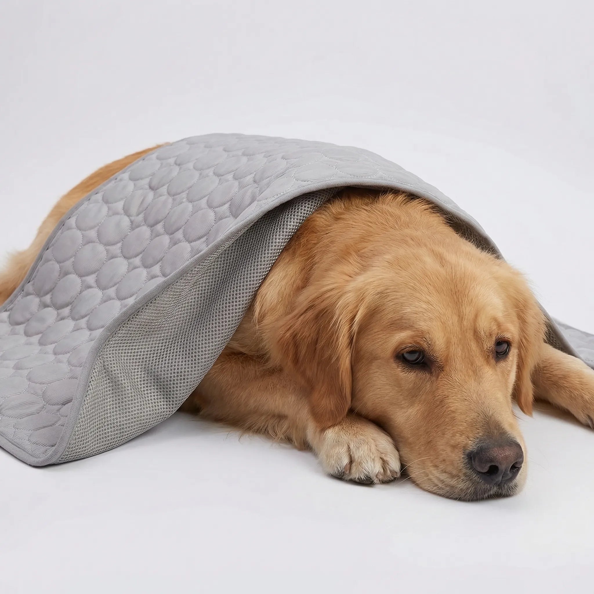 Atmungsaktive Kühlmatte für Haustiere, waschbar, für Hunde und Katzen