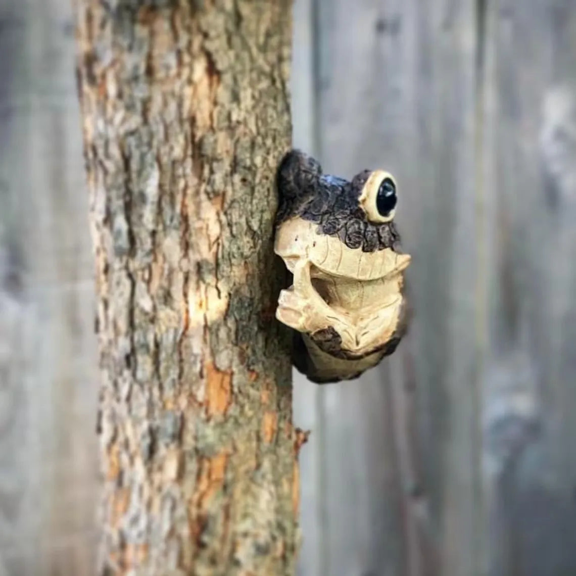 Spähender Frosch Baumschmuck mit lebensechten Details und verwittertem Finish