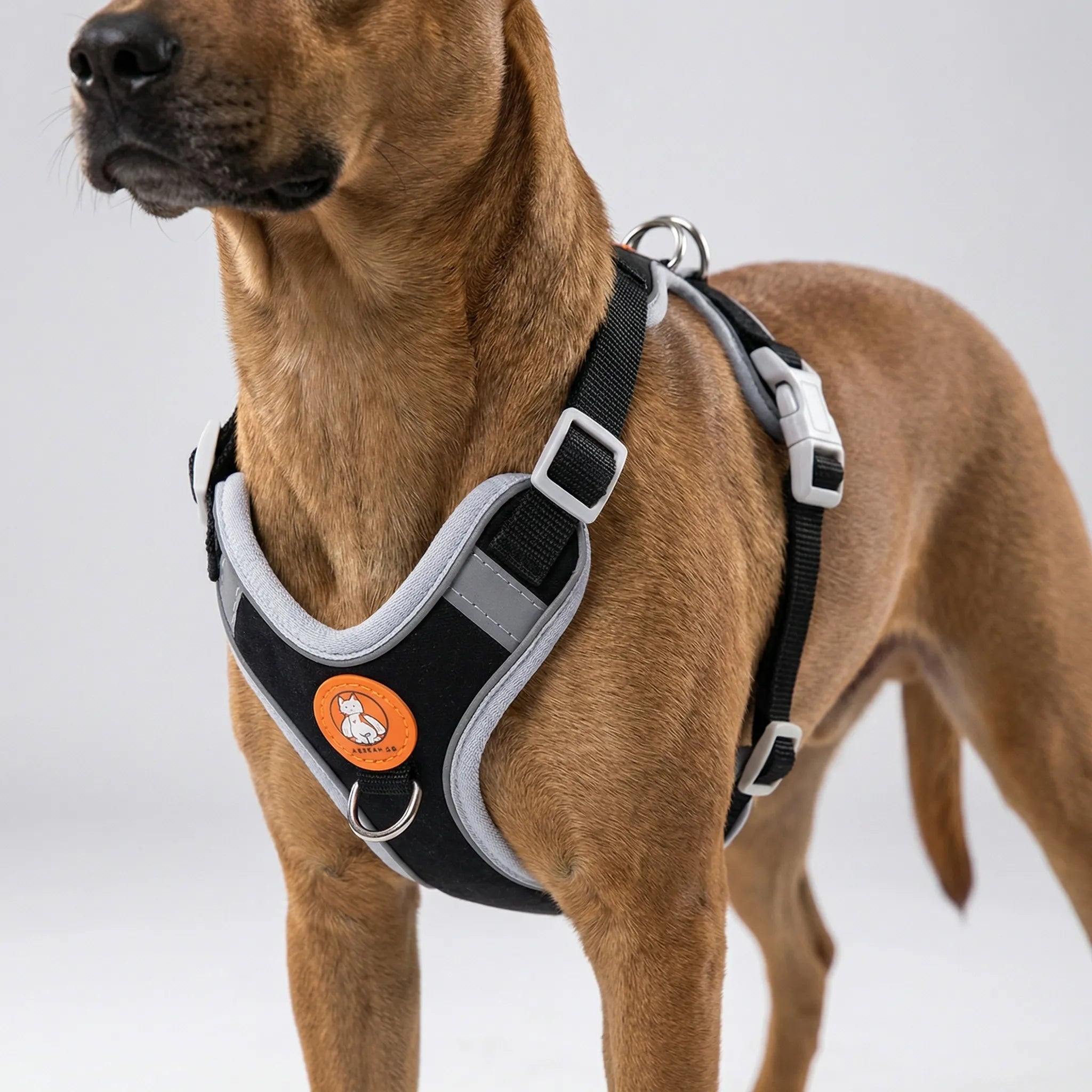 Hundegeschirr Weste Zugstopp verstellbar für kleine Hunde mit Leine