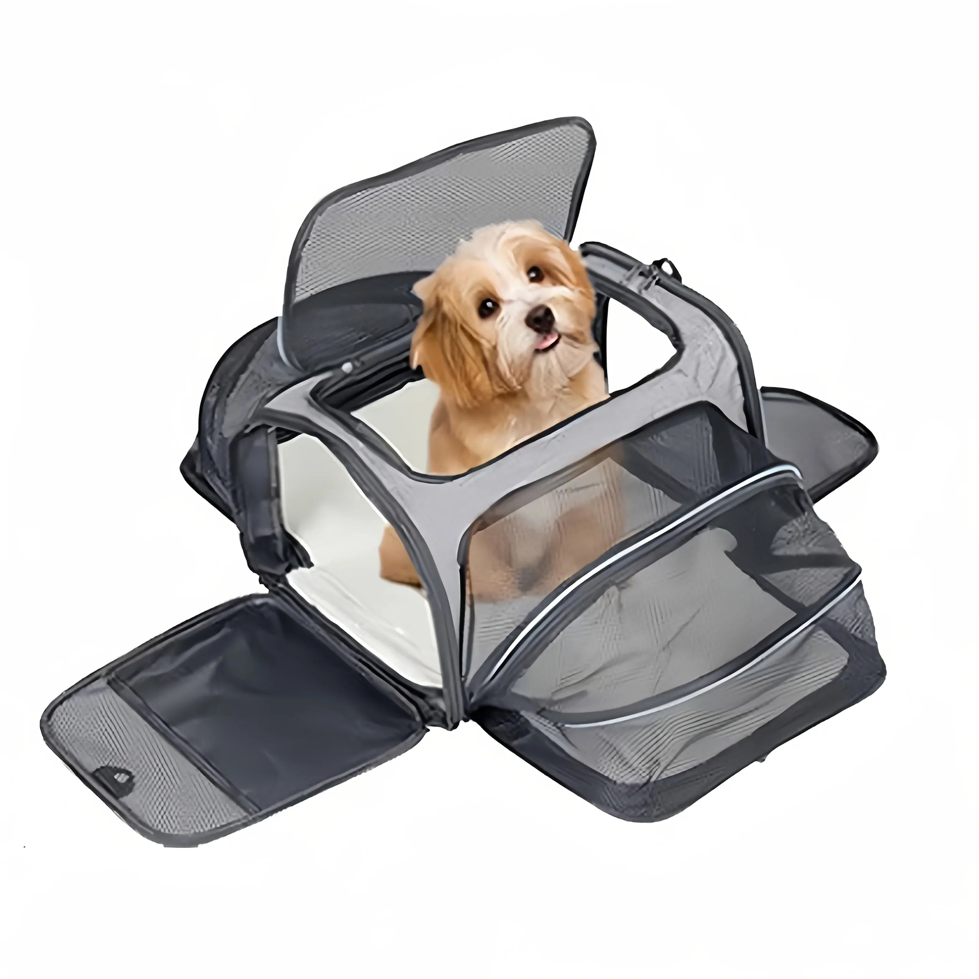 Erweiterbare Haustiertransportbox mit Meshpaneelen und Schultergurt
