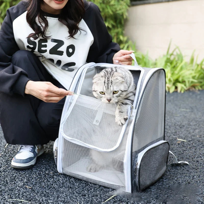 Tierrucksack atmungsaktiv Mesh strukturiert geräumig Katzen