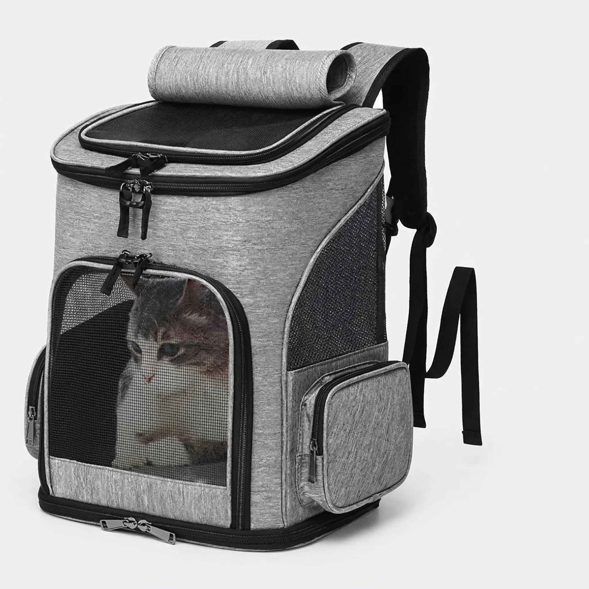 Erweiterbare Rucksack-Transporttasche für Katzen und kleine Hunde mit Netzpanels
