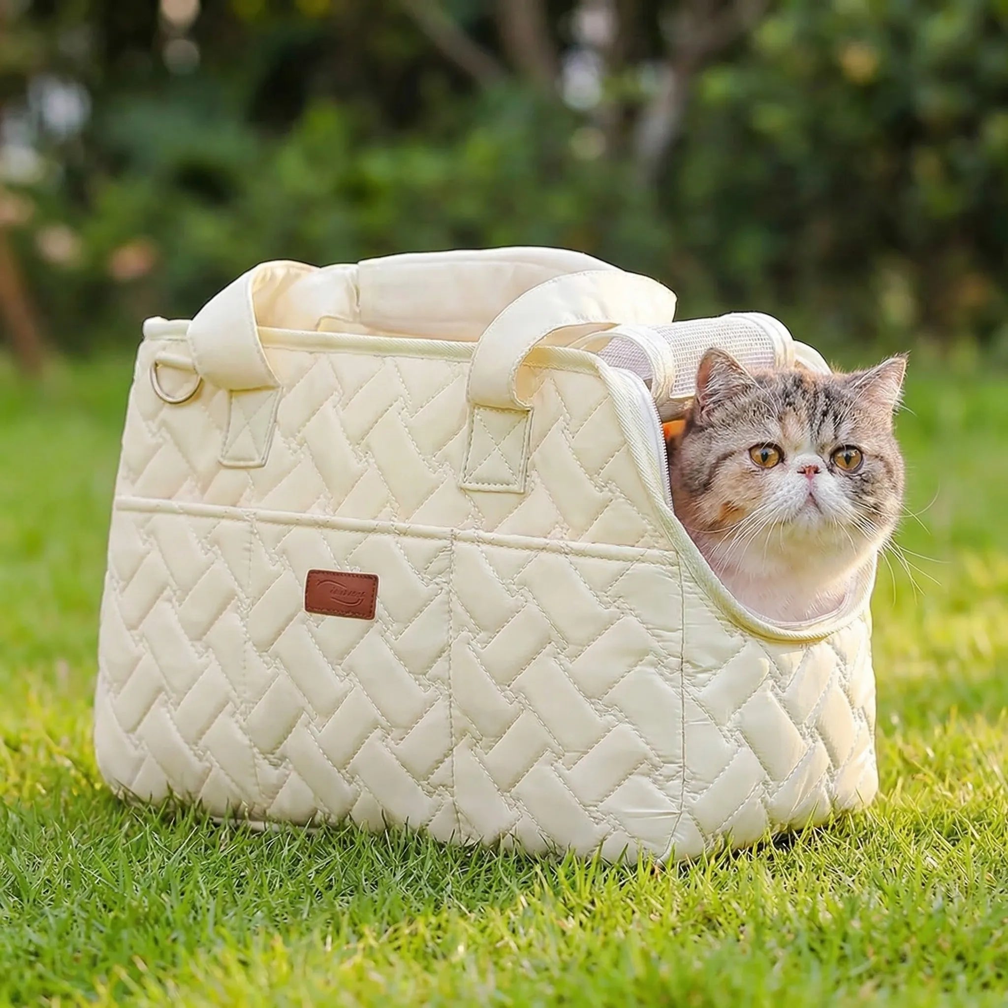 Gesteppte Katzentransporttasche mit atmungsaktivem Mesh und Schultergurt