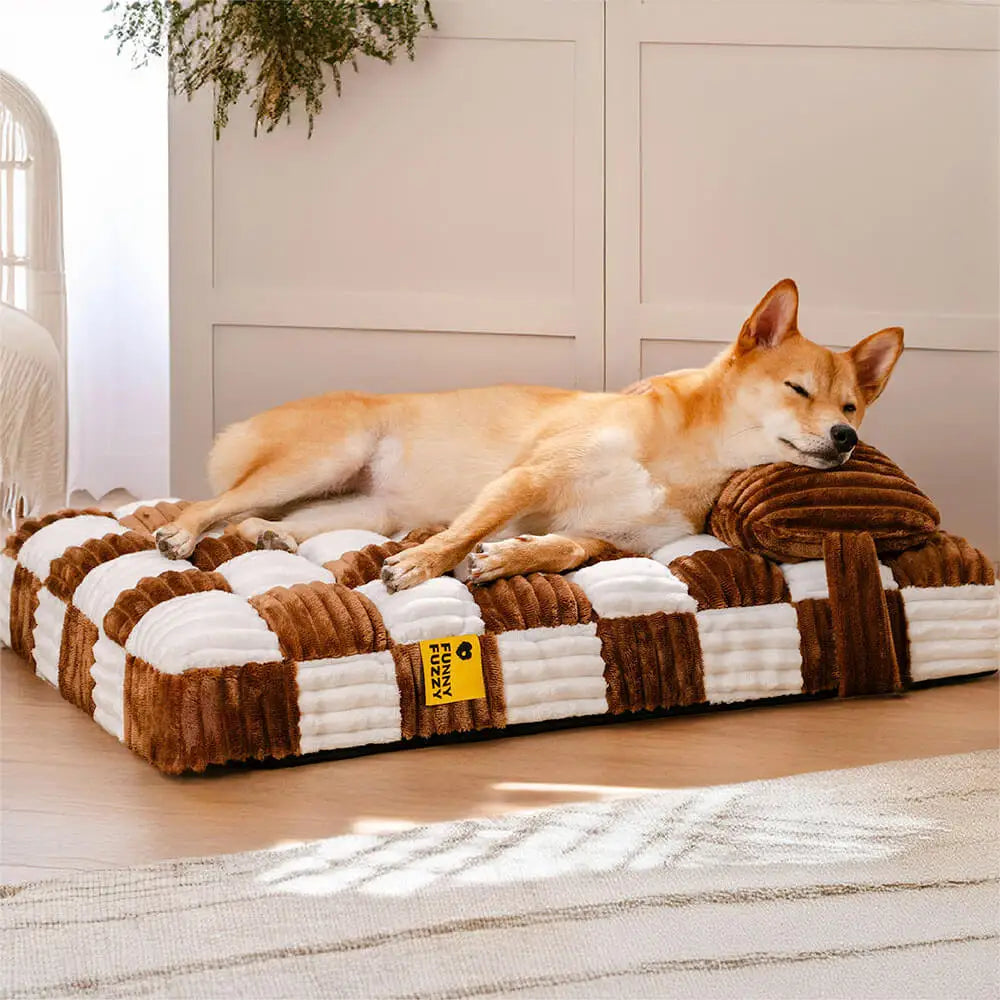 Orthopädisches Hundebett Plüsch mit Kissen für Gelenkentlastung