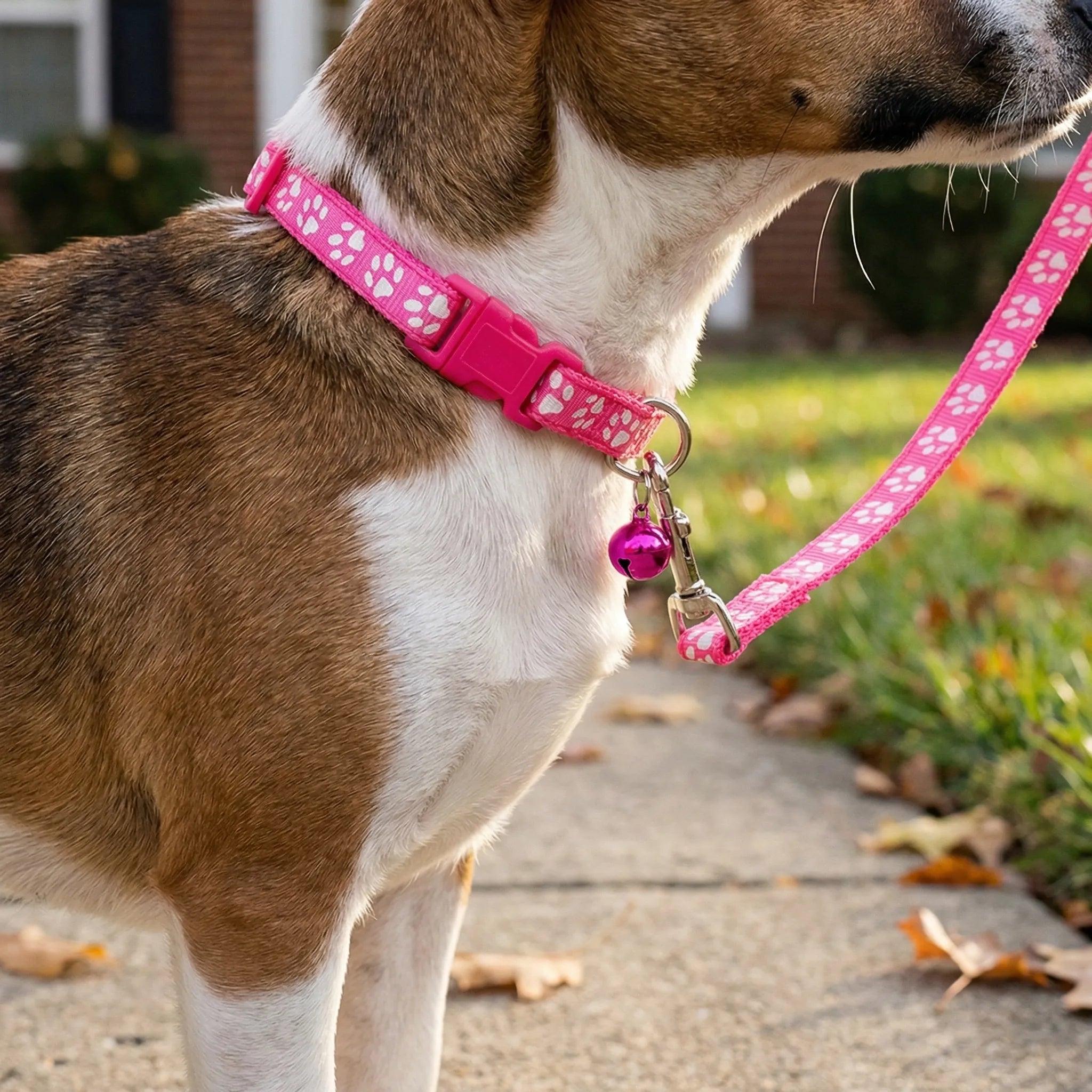 Halsband Leine Set für kleine Hunde Katzen mit Pfotenmuster