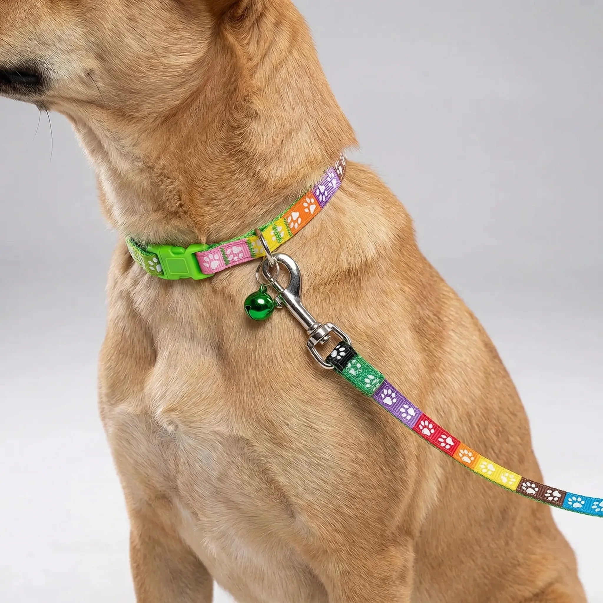 Halsband Leine Set für kleine Hunde Katzen mit Pfotenmuster