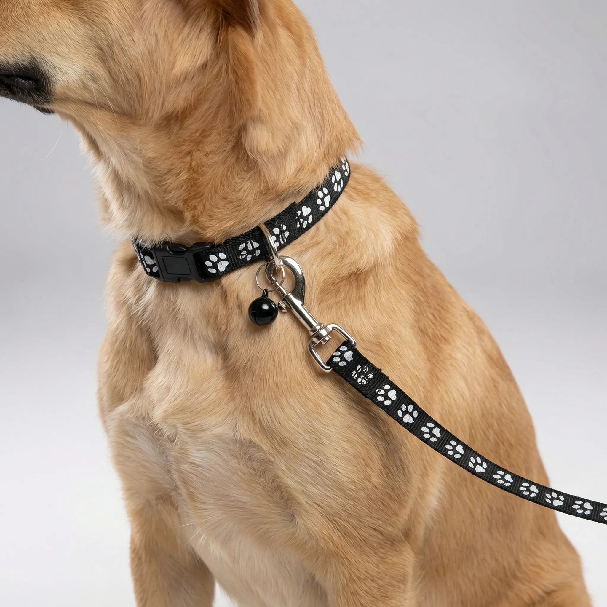 Halsband Leine Set für kleine Hunde Katzen mit Pfotenmuster