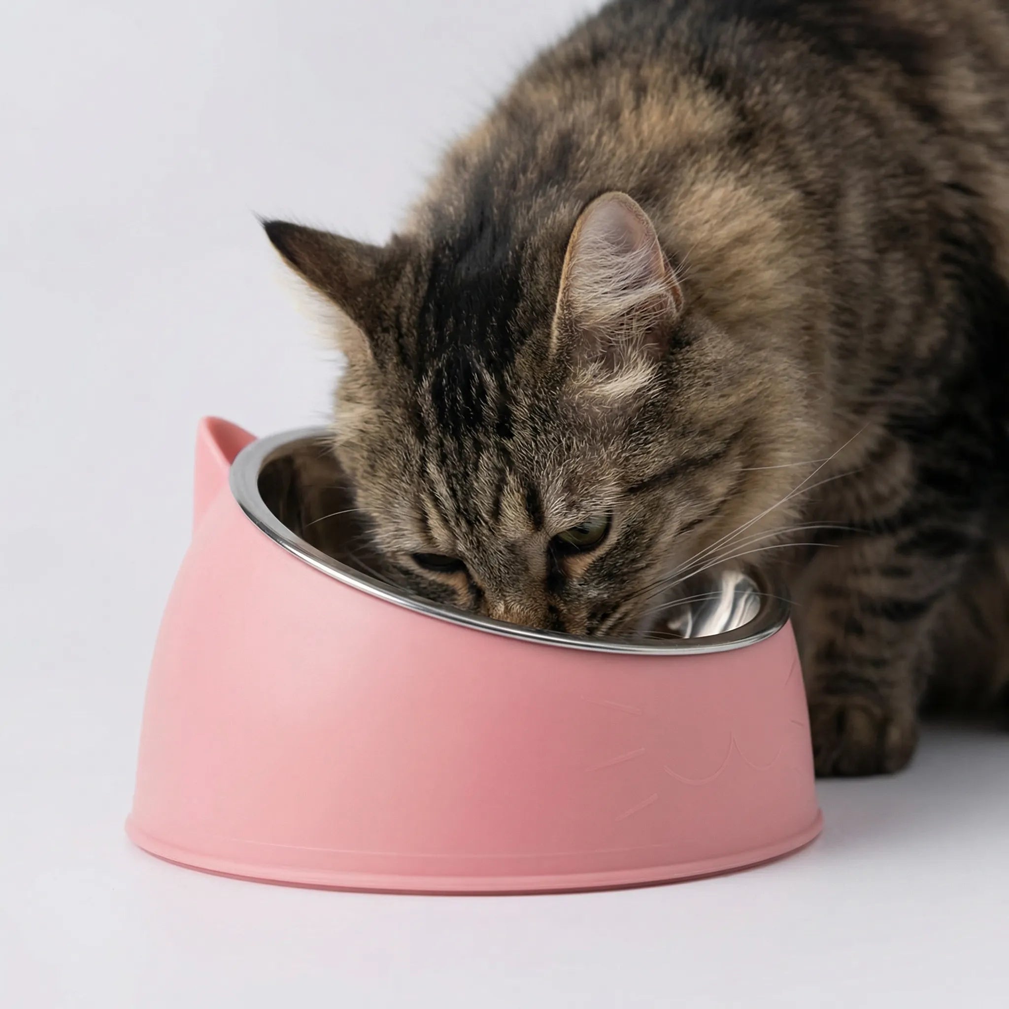 Geneigter Katzenfutternapf Edelstahl rutschfest Katzenohren Design