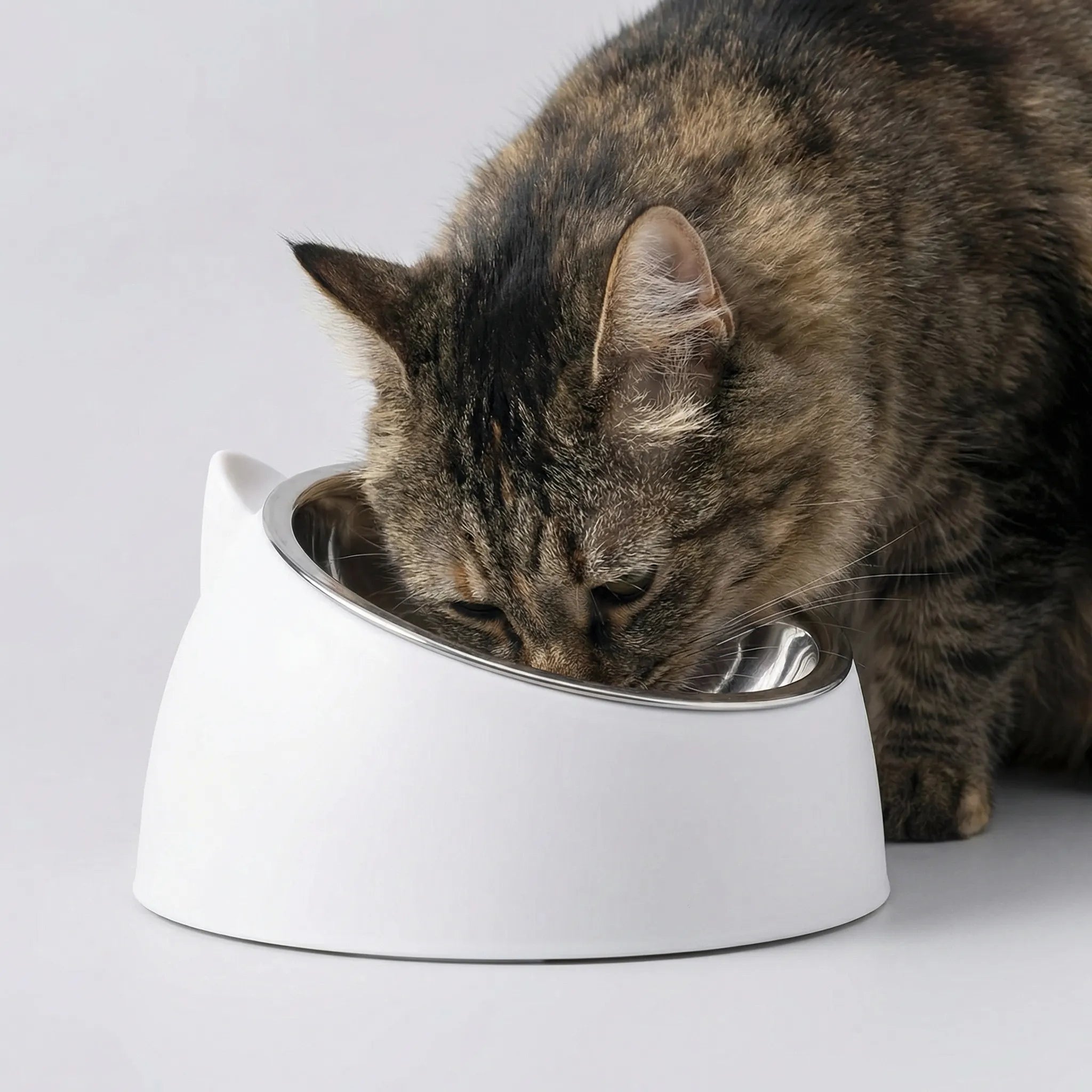 Geneigter Katzenfutternapf Edelstahl rutschfest Katzenohren Design