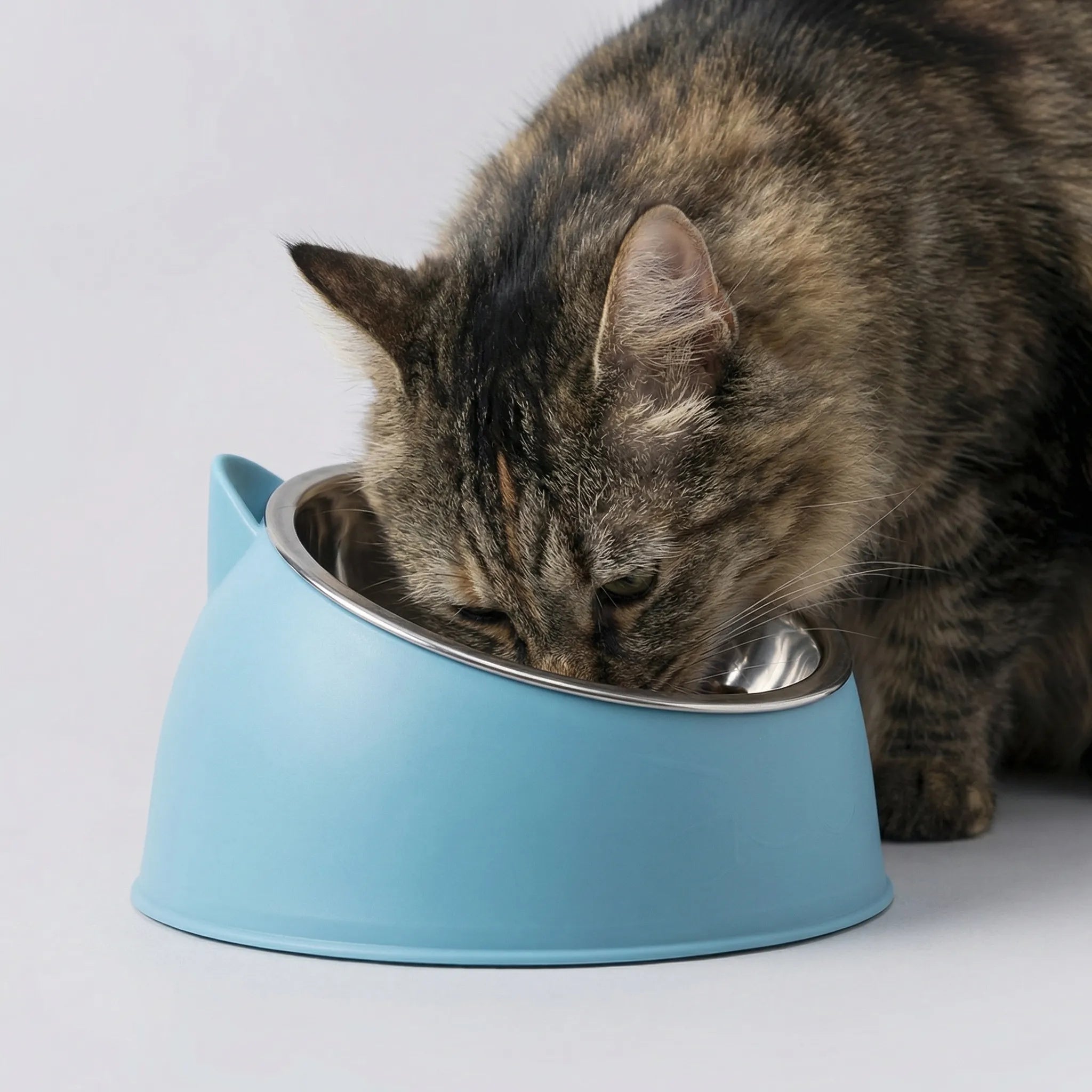 Geneigter Katzenfutternapf Edelstahl rutschfest Katzenohren Design