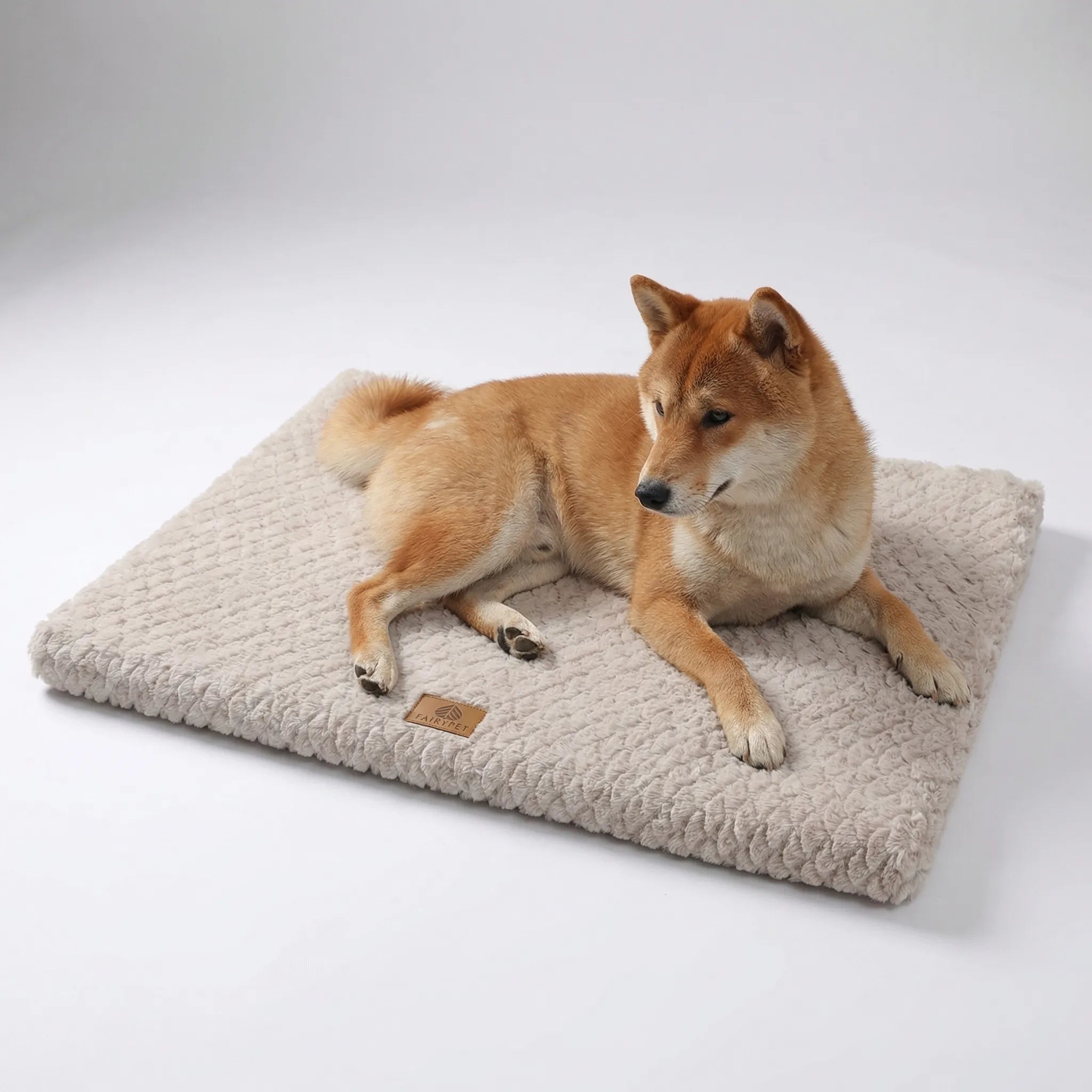 Flache orthopädische Hundematte mit 3D-Schaumstoffkern und waschbarem Bezug