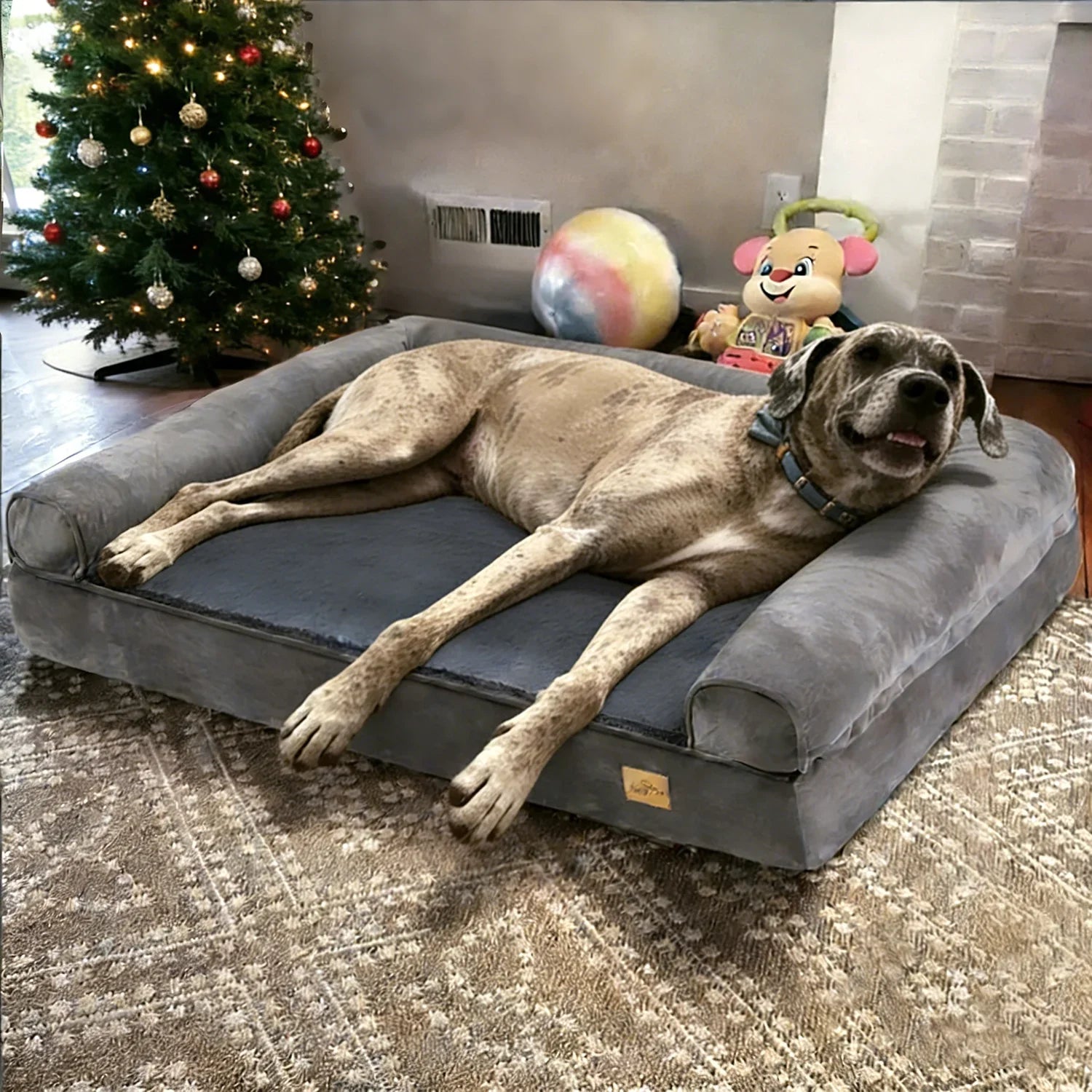 Orthopädisches Hundebett Sofa-Stil mit waschbarem Bezug und stützender Schaumstoffbasis