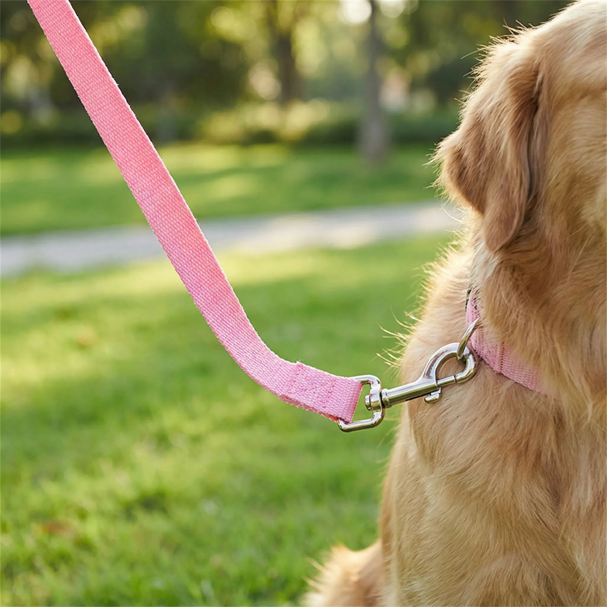Lange Hundetrainingsleine aus robustem Nylon für Rückruftraining