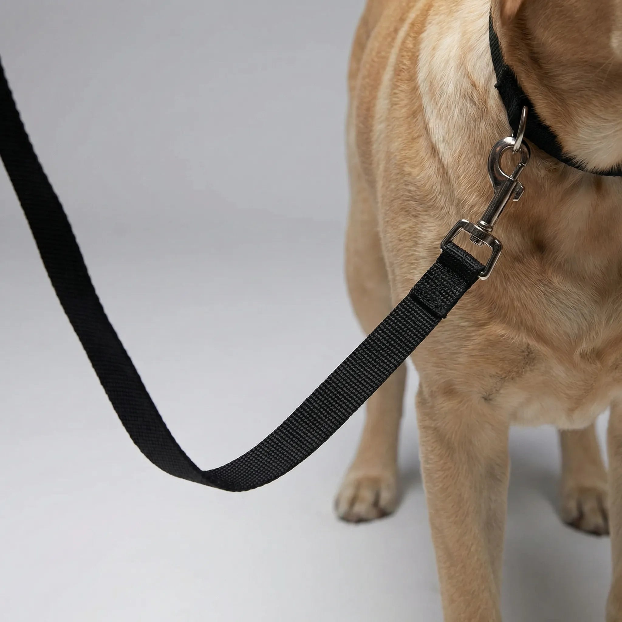 Lange Hundetrainingsleine aus robustem Nylon für Rückruftraining