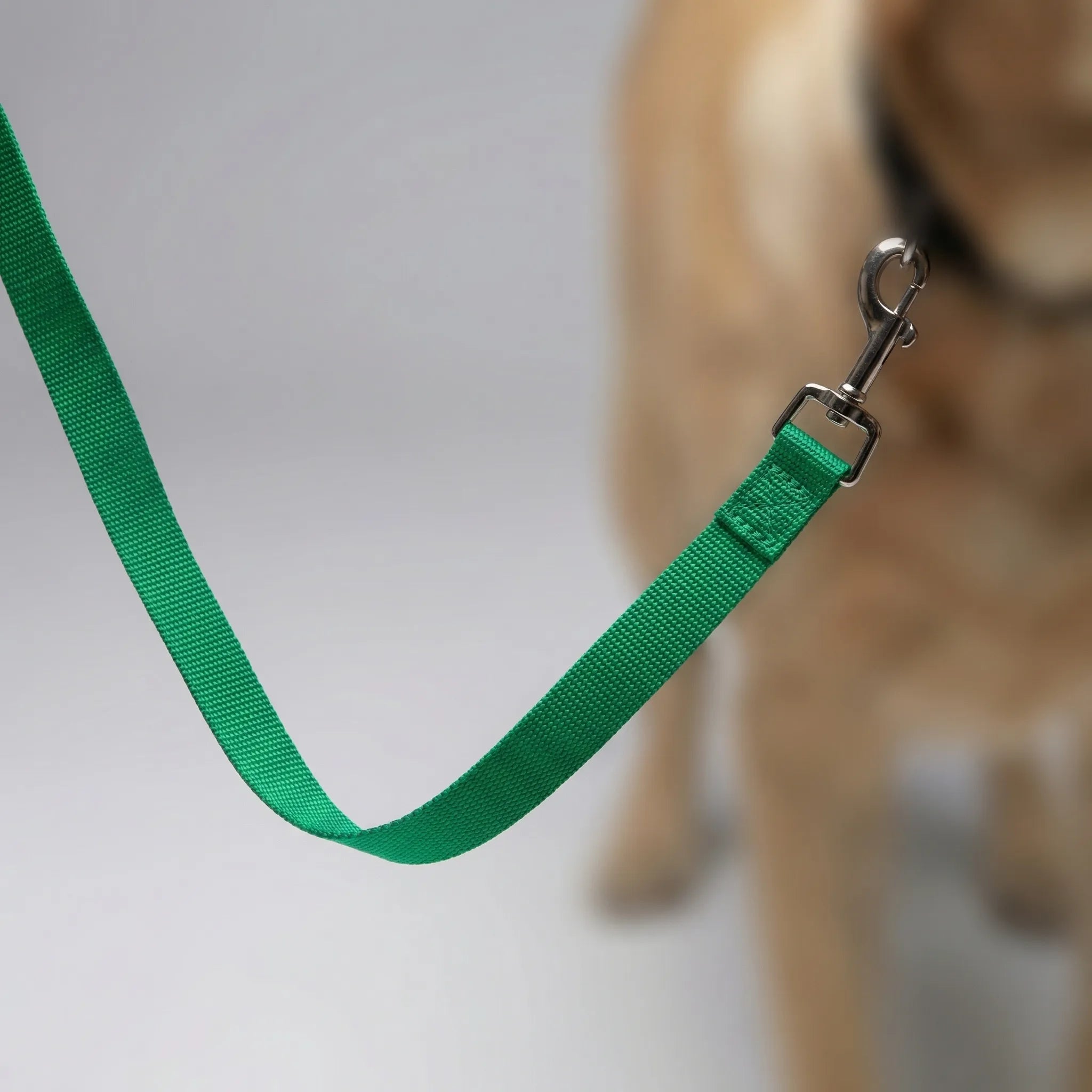 Lange Hundetrainingsleine aus robustem Nylon für Rückruftraining