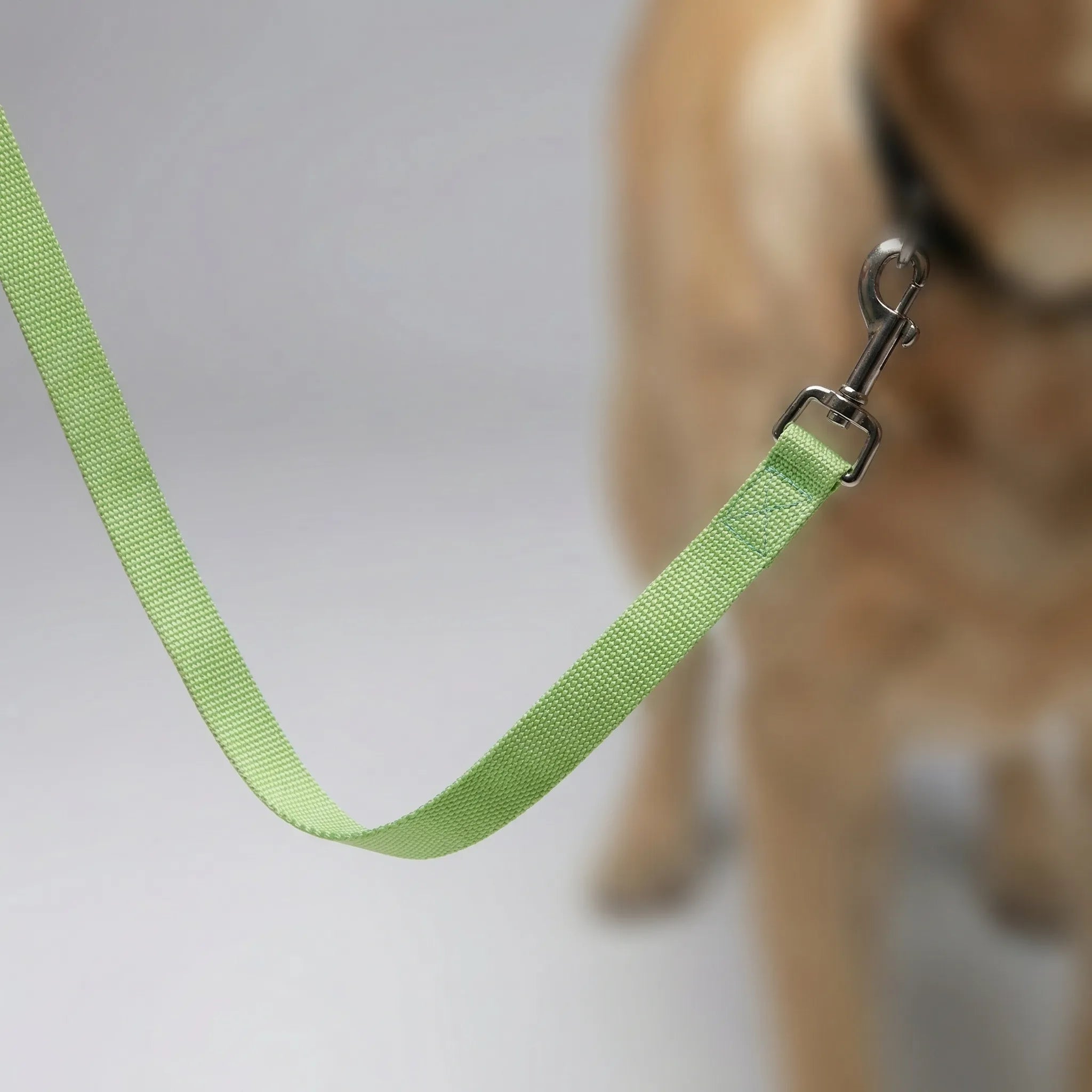 Lange Hundetrainingsleine aus robustem Nylon für Rückruftraining